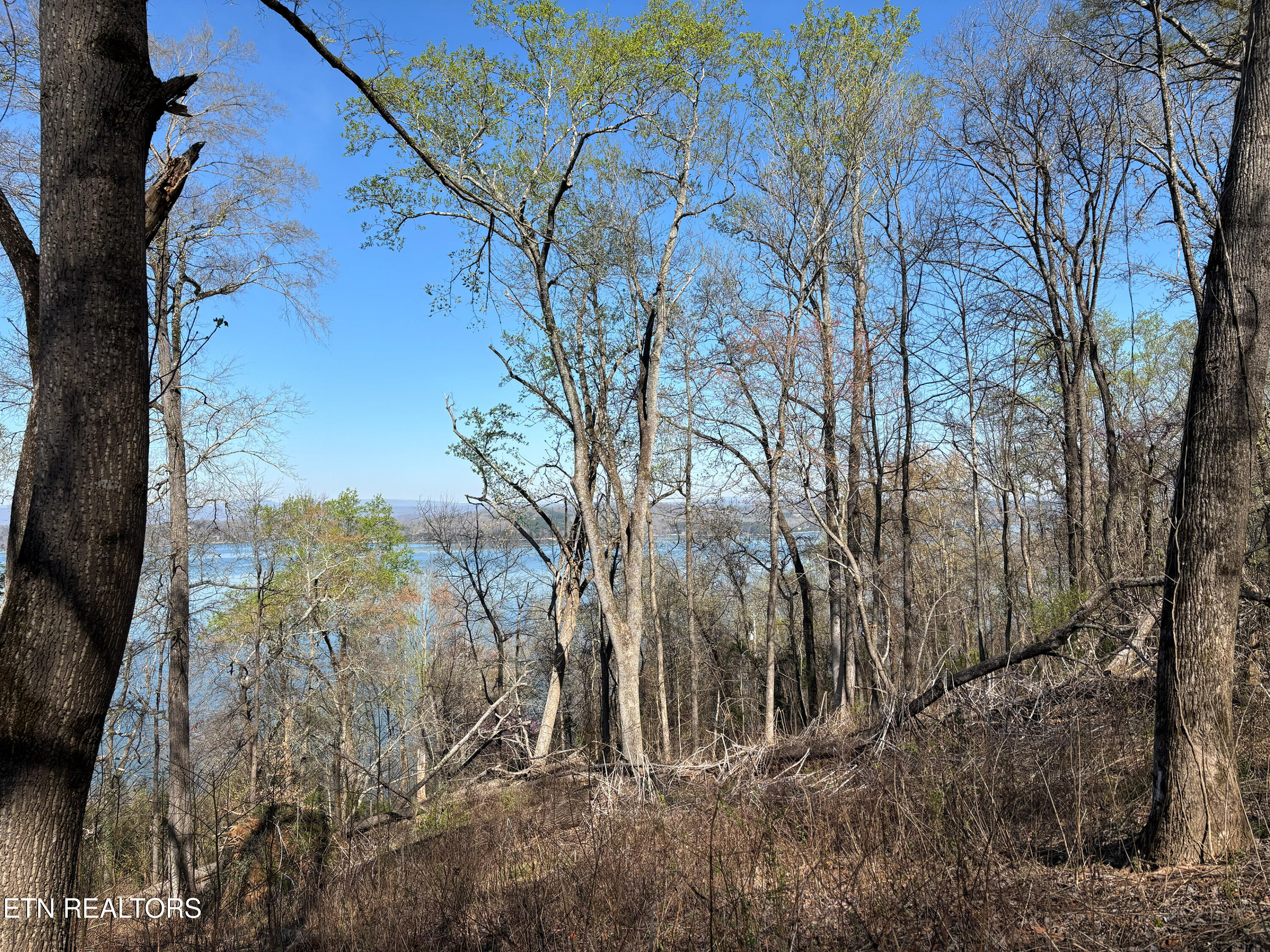 Lot 38 Johnson Lane Ten Mile TN 37880