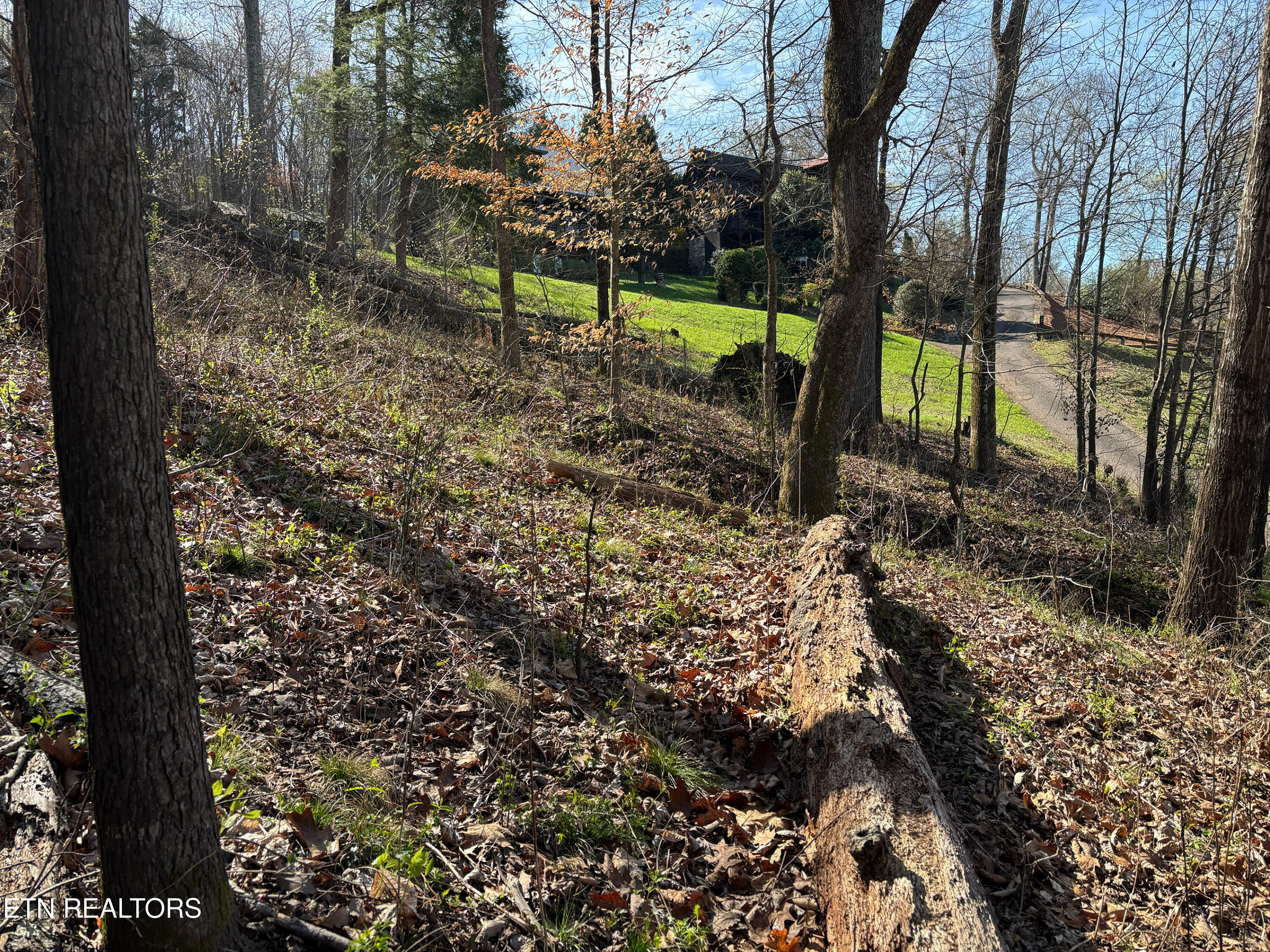 Lot 38 Johnson Lane Ten Mile TN 37880
