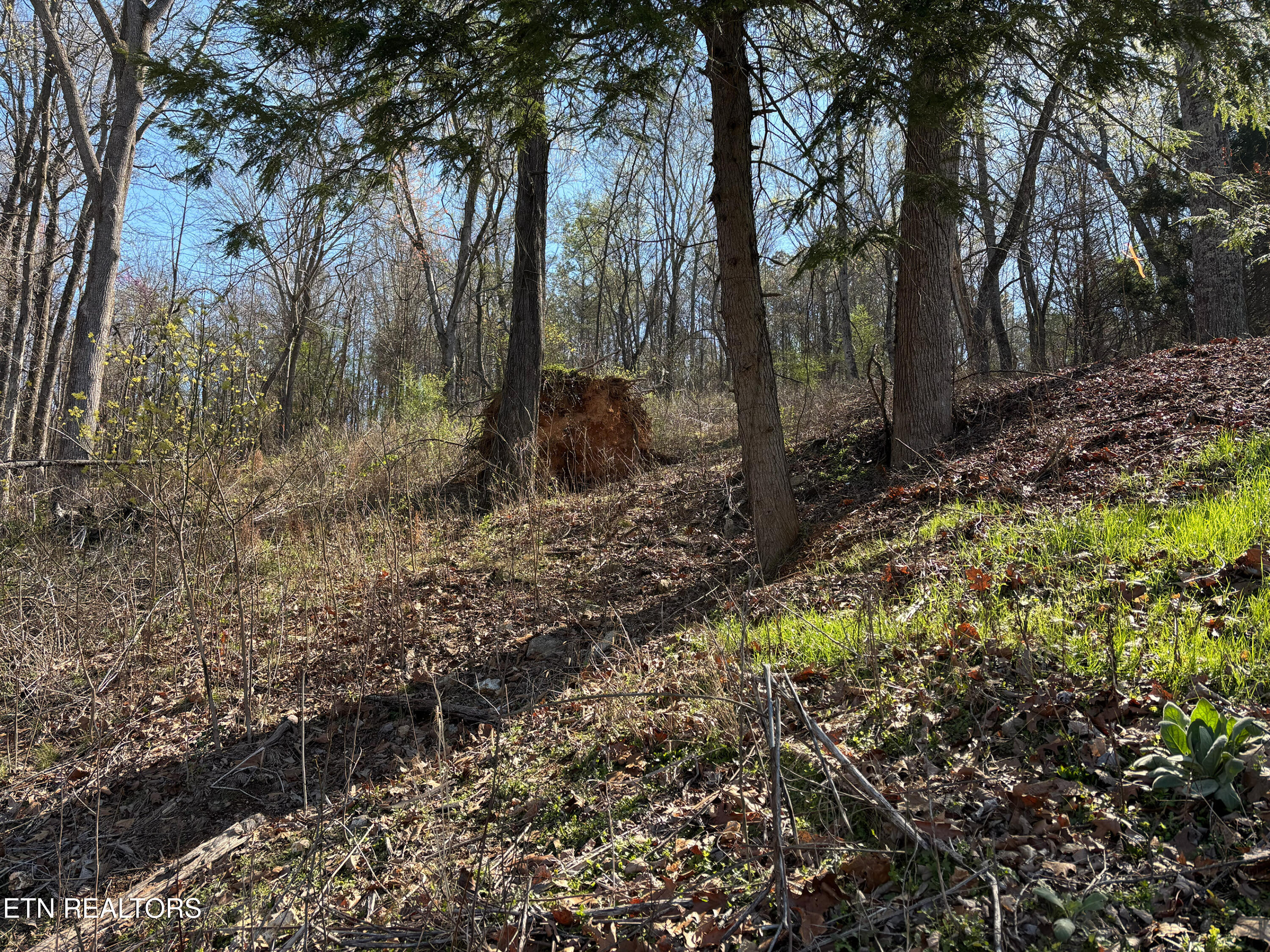 Lot 38 Johnson Lane Ten Mile TN 37880