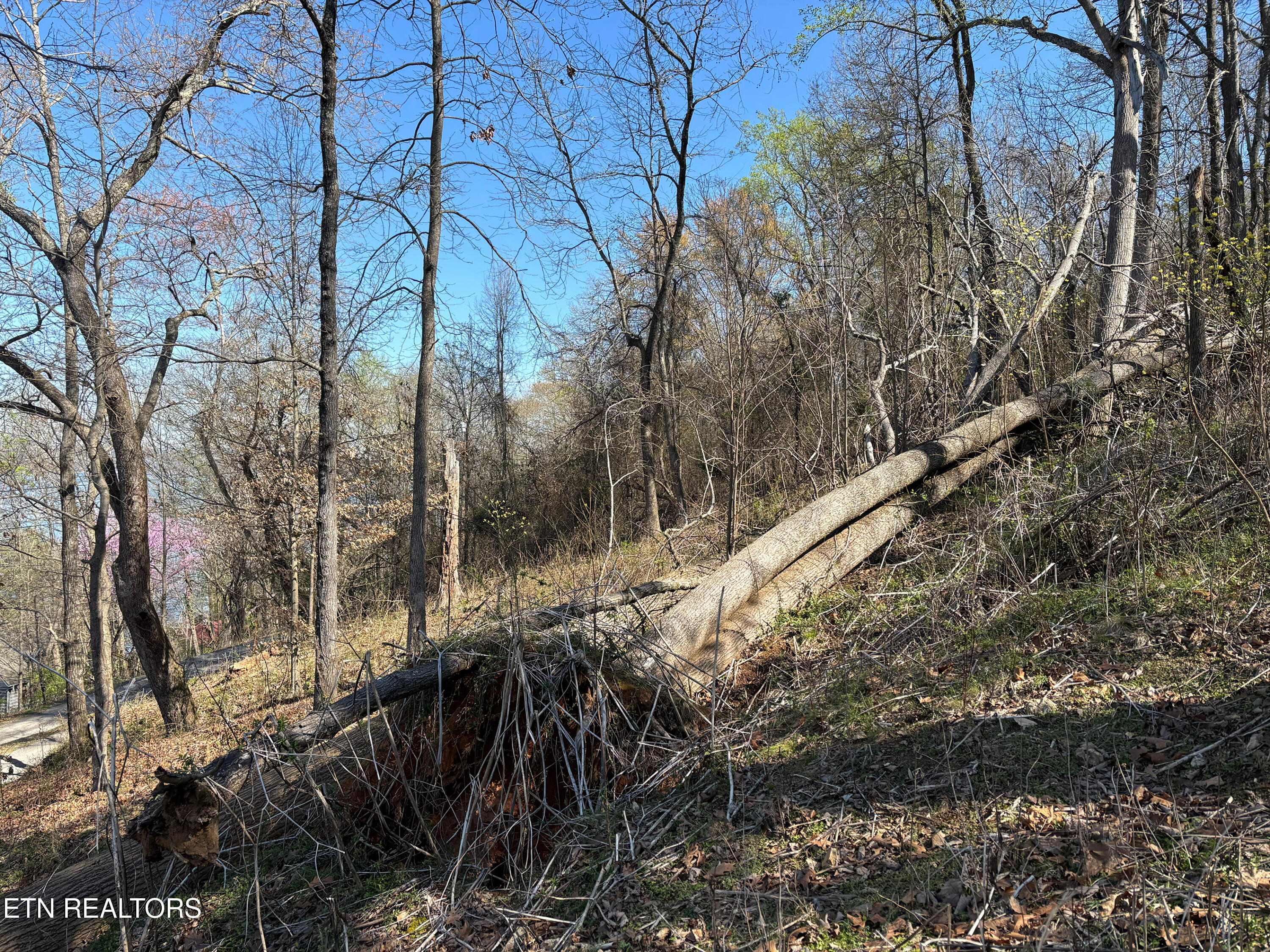 Lot 38 Johnson Lane Ten Mile TN 37880