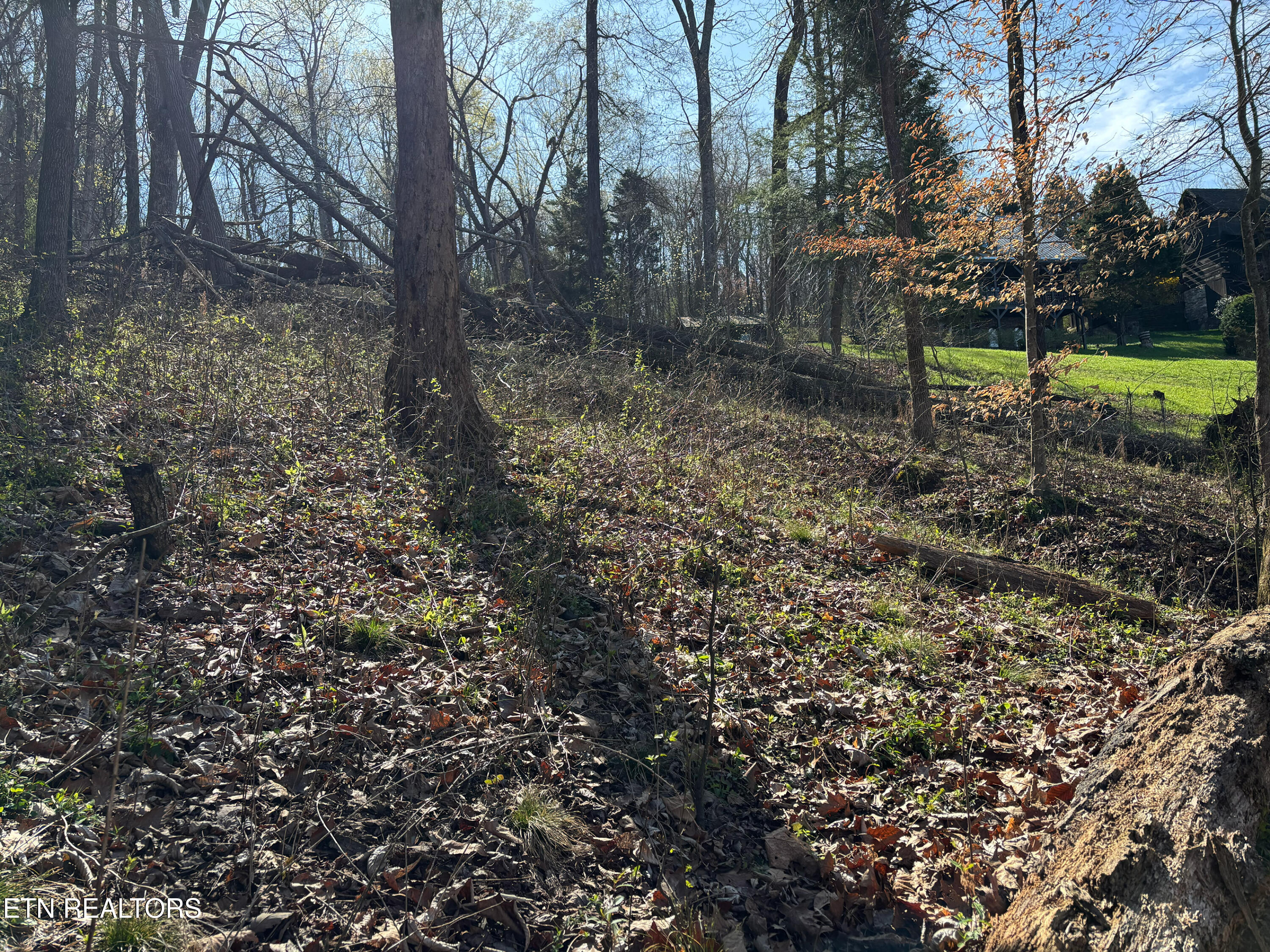 Lot 38 Johnson Lane Ten Mile TN 37880