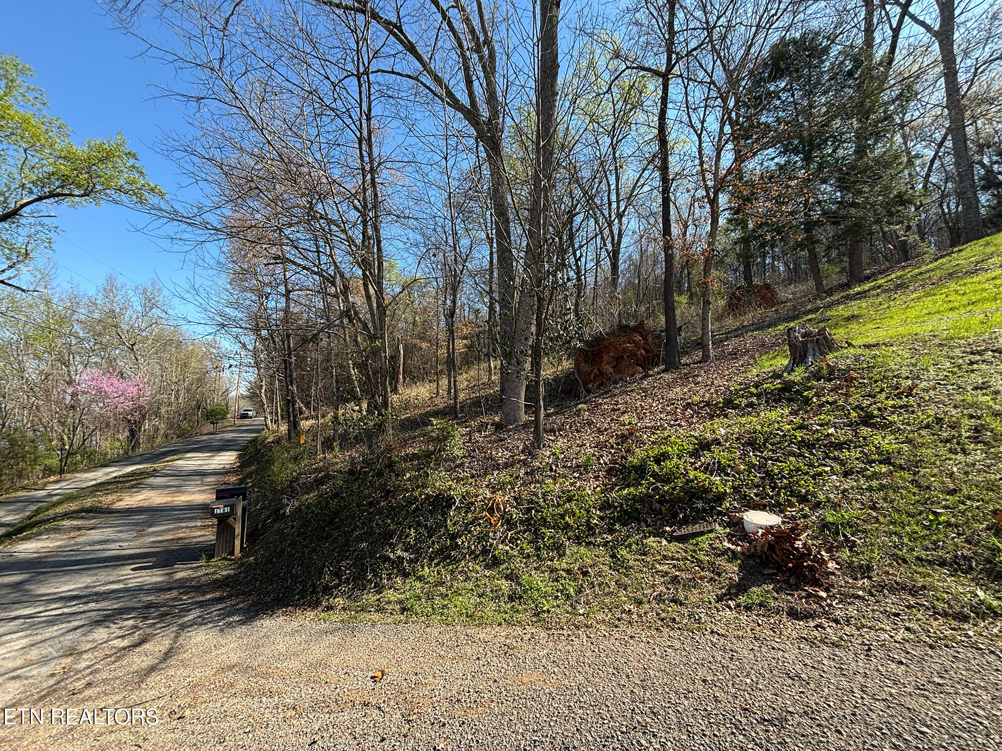 Lot 38 Johnson Lane Ten Mile TN 37880