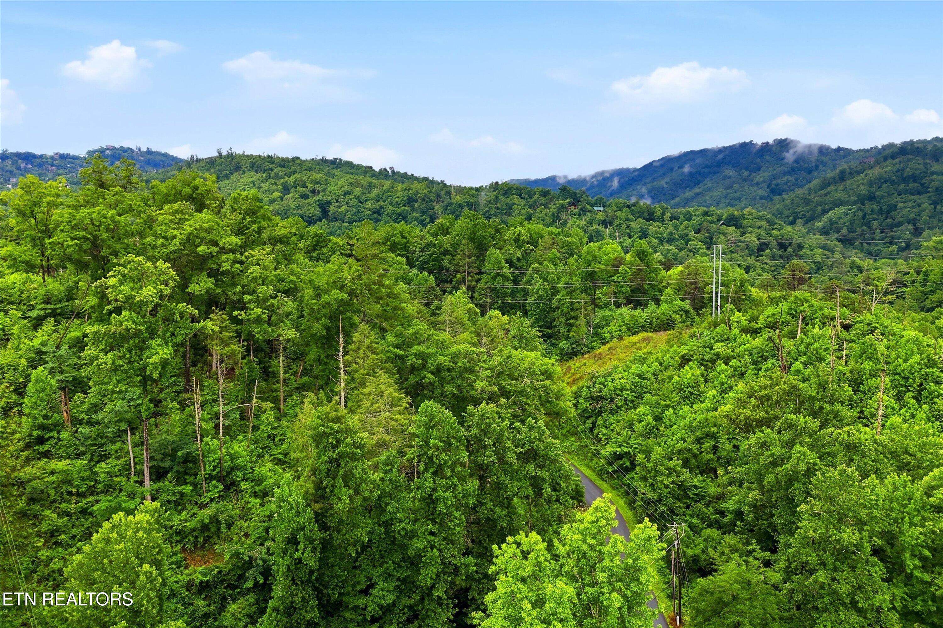 127 Beech Branch Road Gatlinburg TN 37738