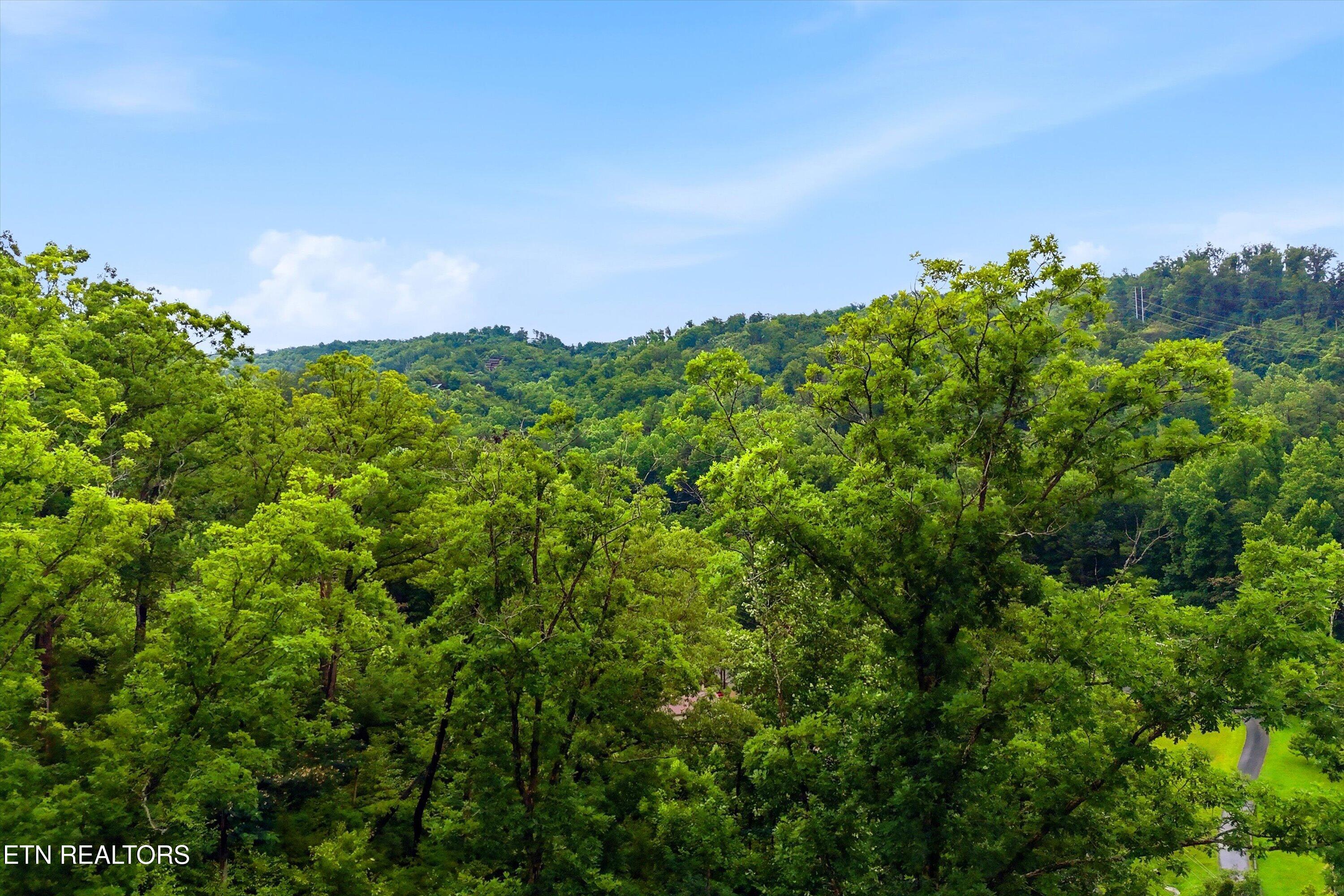 127 Beech Branch Road Gatlinburg TN 37738