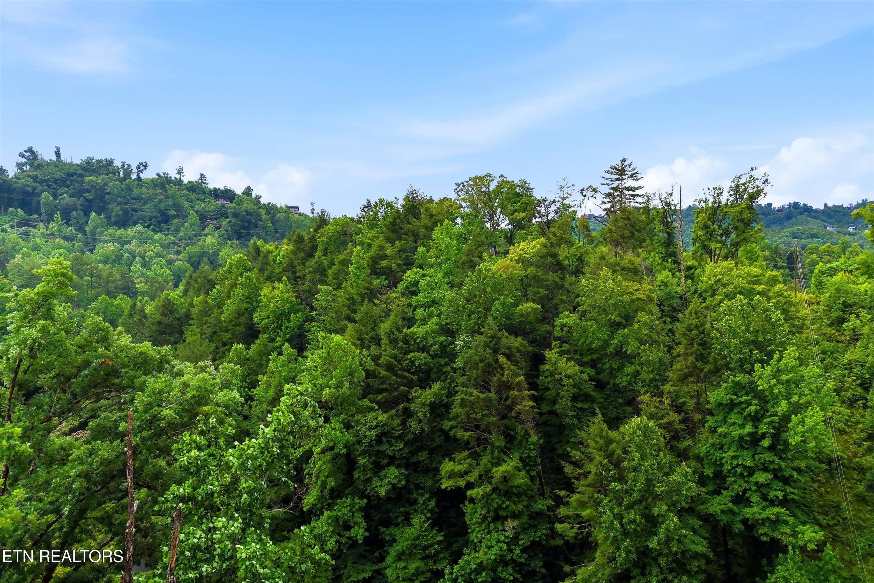127 Beech Branch Road Gatlinburg TN 37738