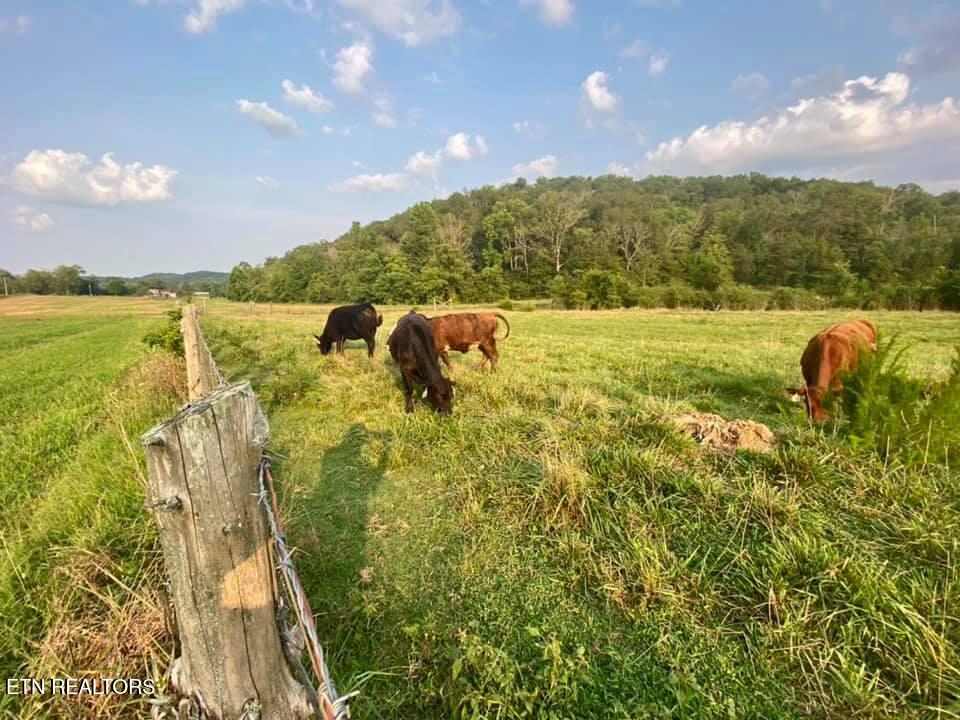 2497 Mount Carmel Road Decatur TN 37322