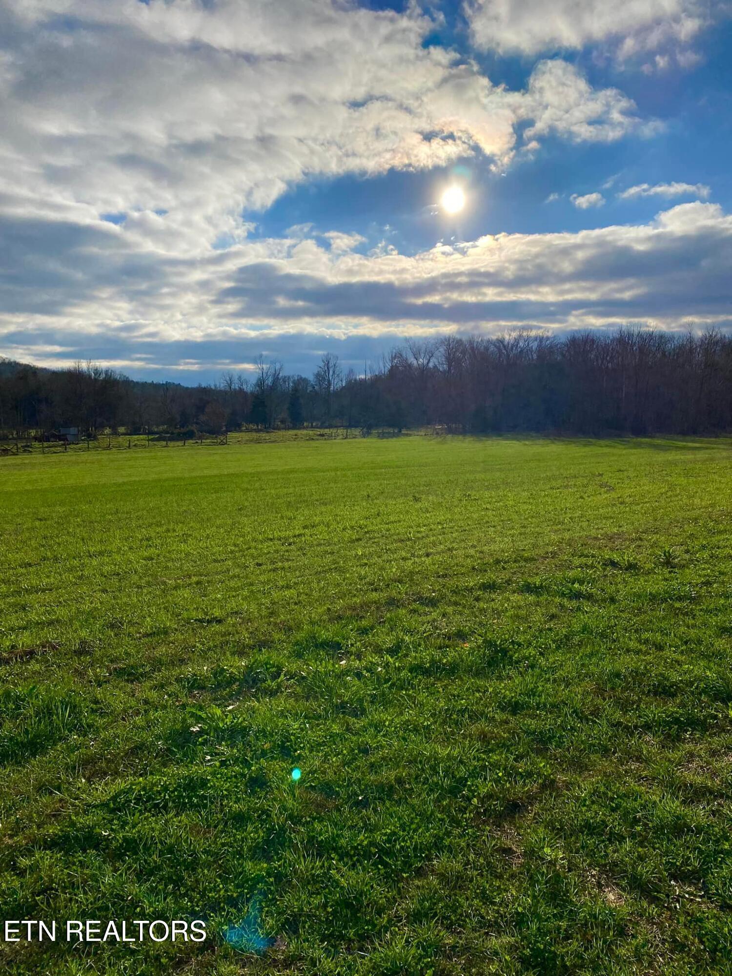 2497 Mount Carmel Road Decatur TN 37322