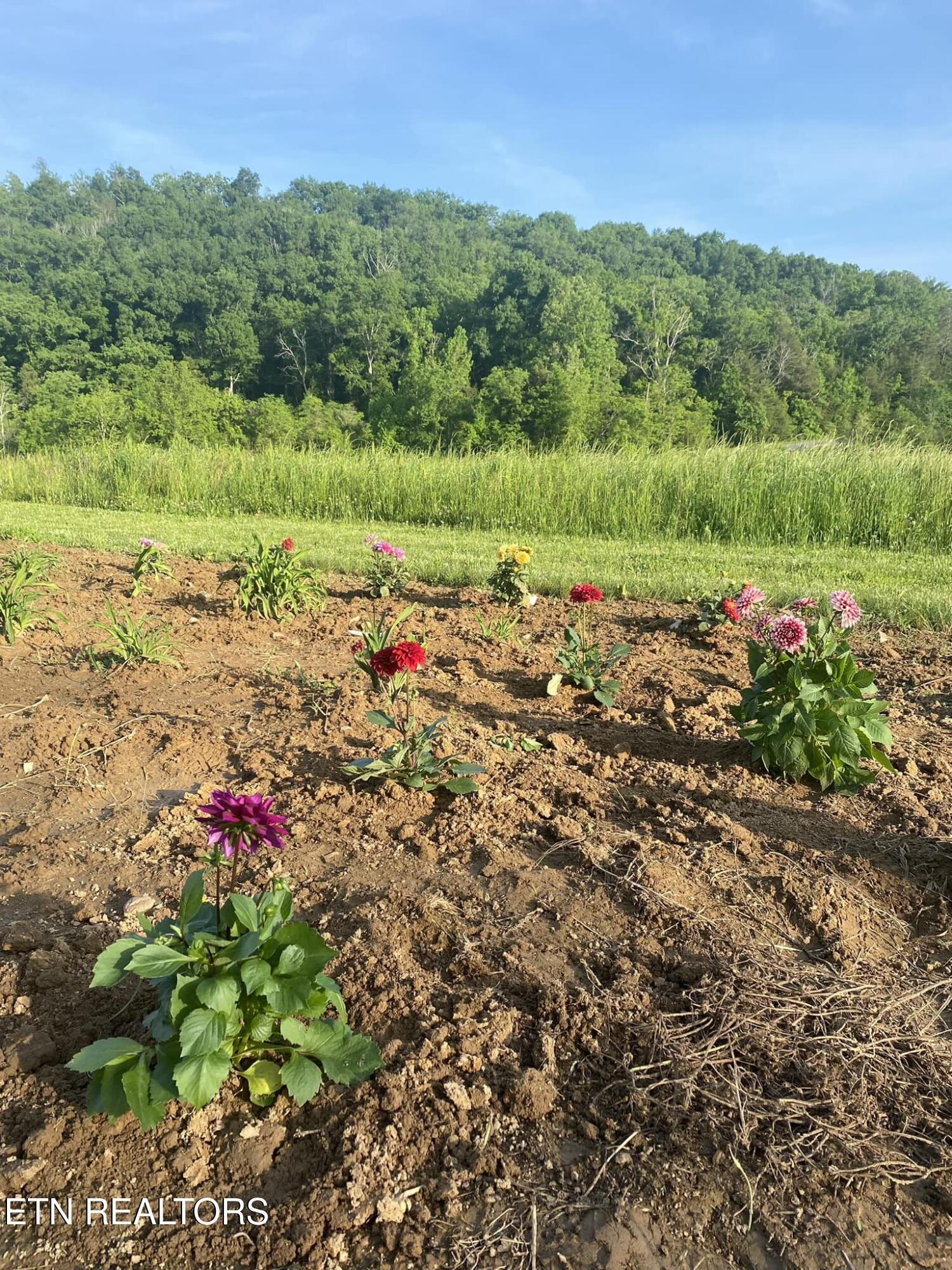 2497 Mount Carmel Road Decatur TN 37322