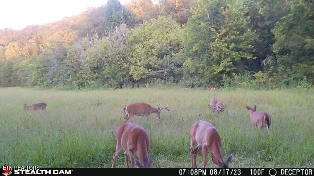 2497 Mount Carmel Road Decatur TN 37322