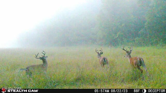 2497 Mount Carmel Road Decatur TN 37322