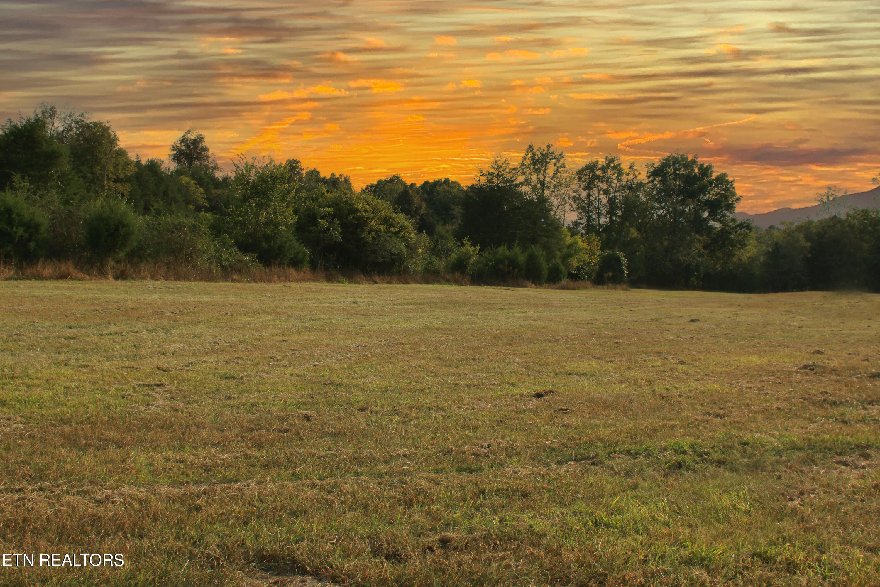 2497 Mount Carmel Road Decatur TN 37322