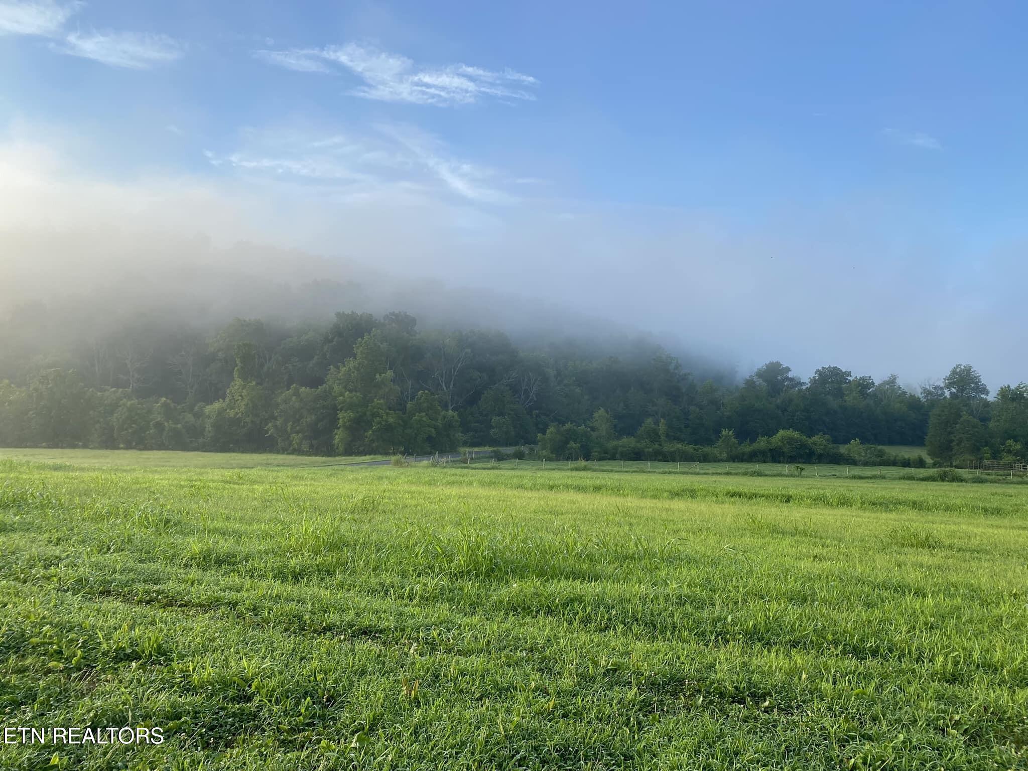 2497 Mount Carmel Road Decatur TN 37322