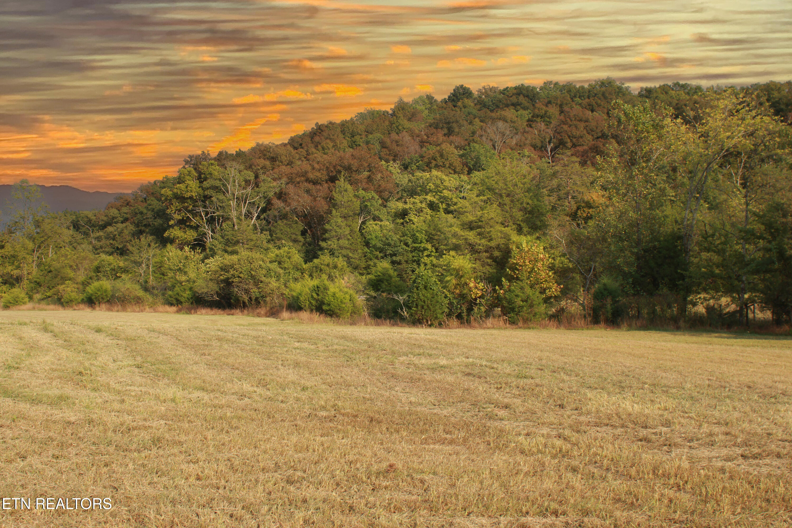 2497 Mount Carmel Road Decatur TN 37322