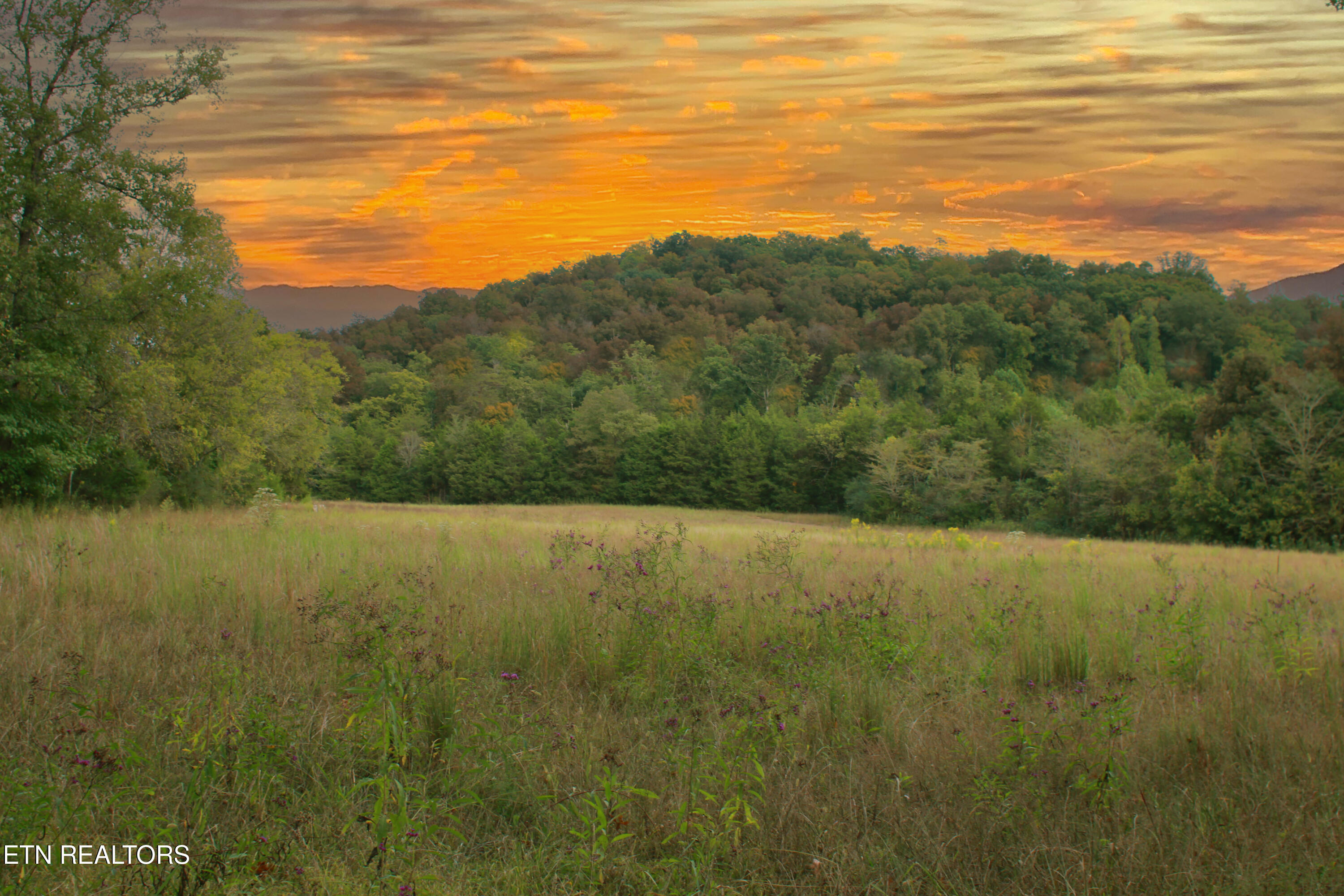 2497 Mount Carmel Road Decatur TN 37322