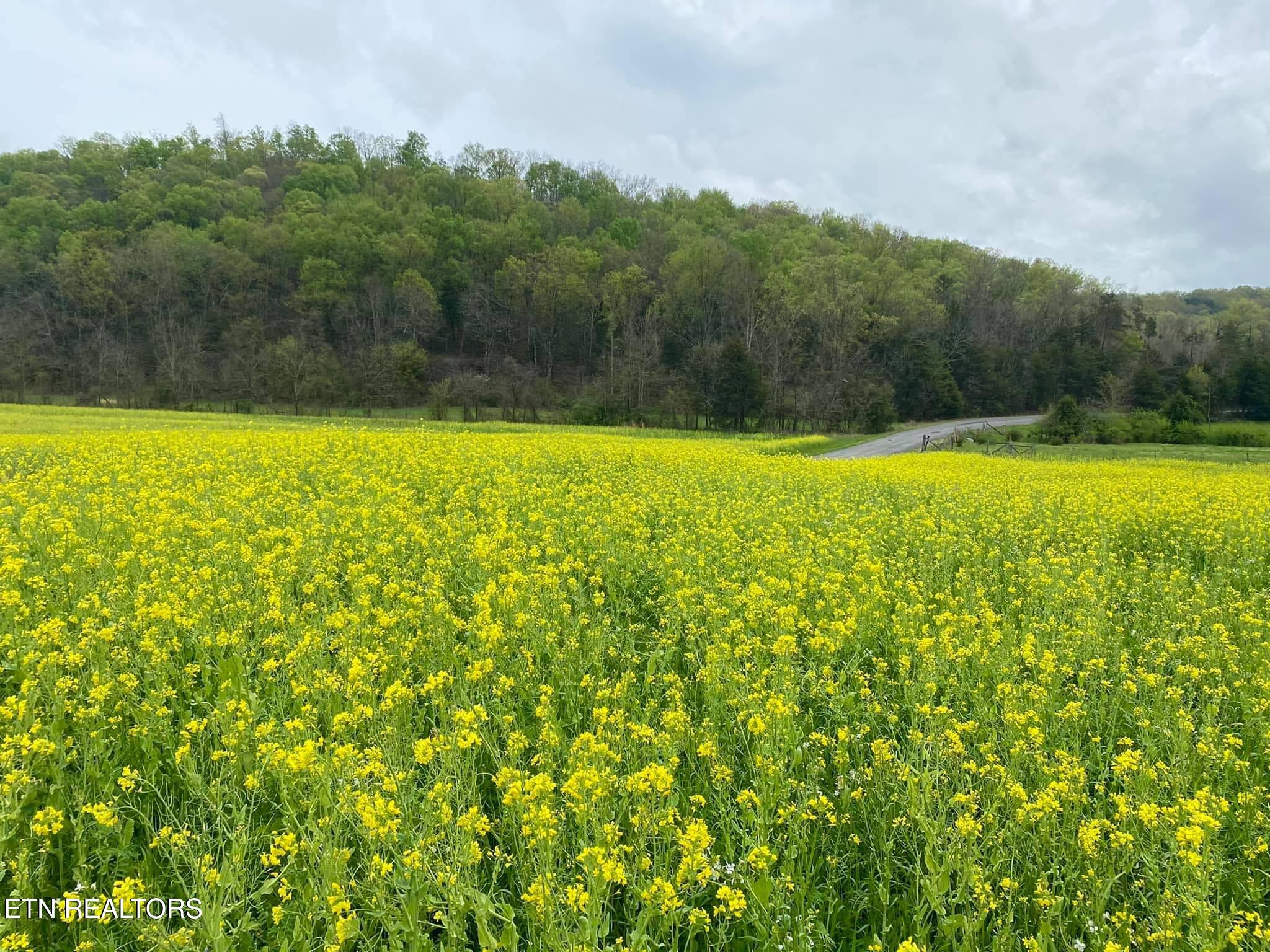2497 Mount Carmel Road Decatur TN 37322