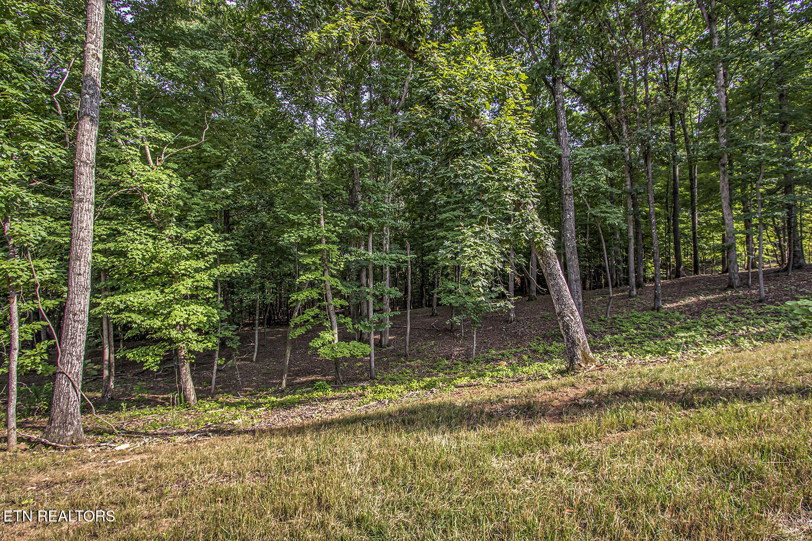326 Flip Flop Way Loudon TN 37774