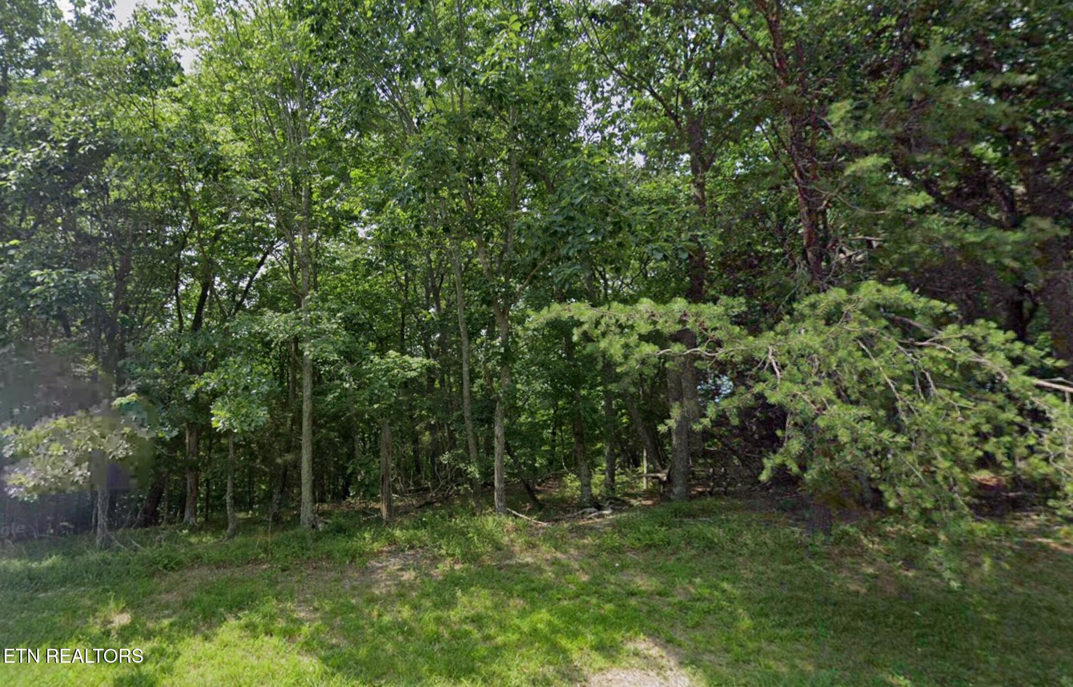 130 Markham Lane Fairfield Glade TN 38558