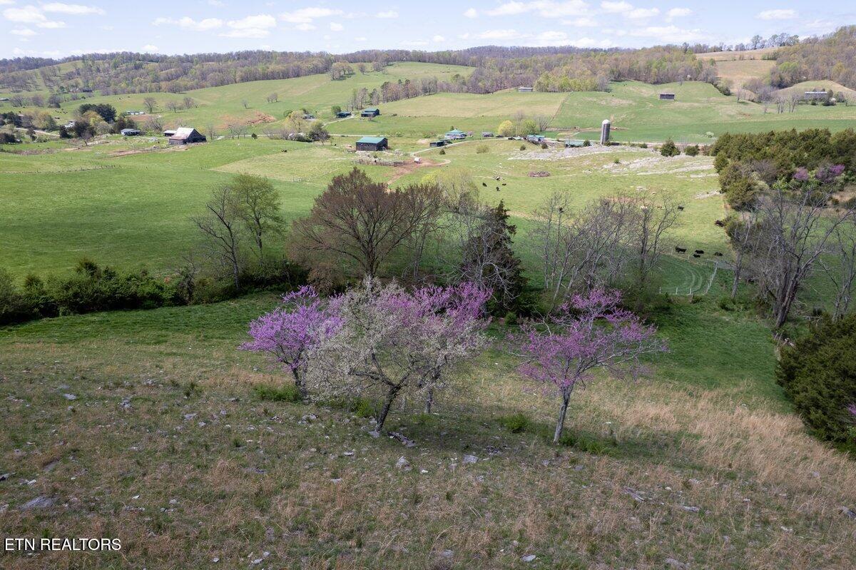 Tbd Little Sycamore Road Tazewell TN 37879