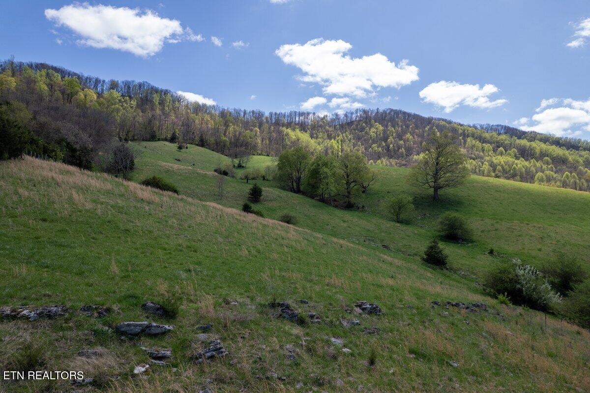 Tbd Little Sycamore Road Tazewell TN 37879