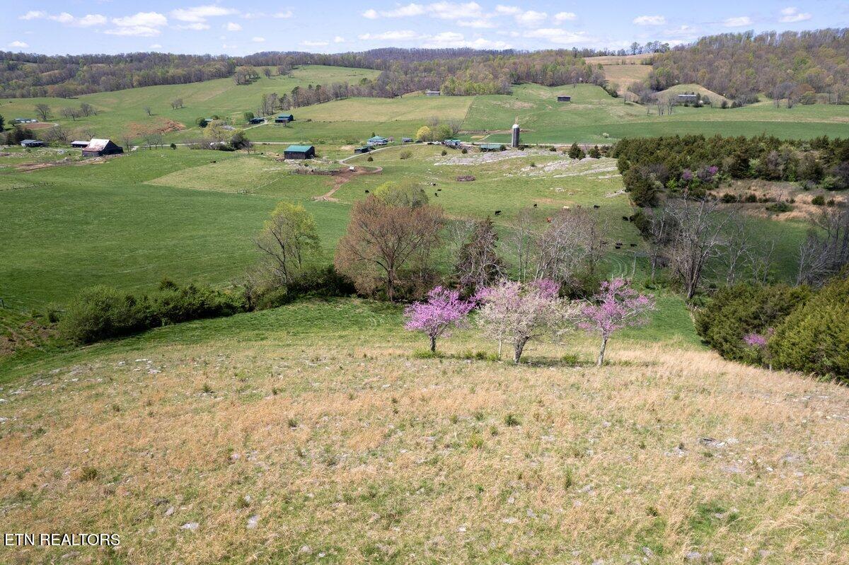 Tbd Little Sycamore Road Tazewell TN 37879