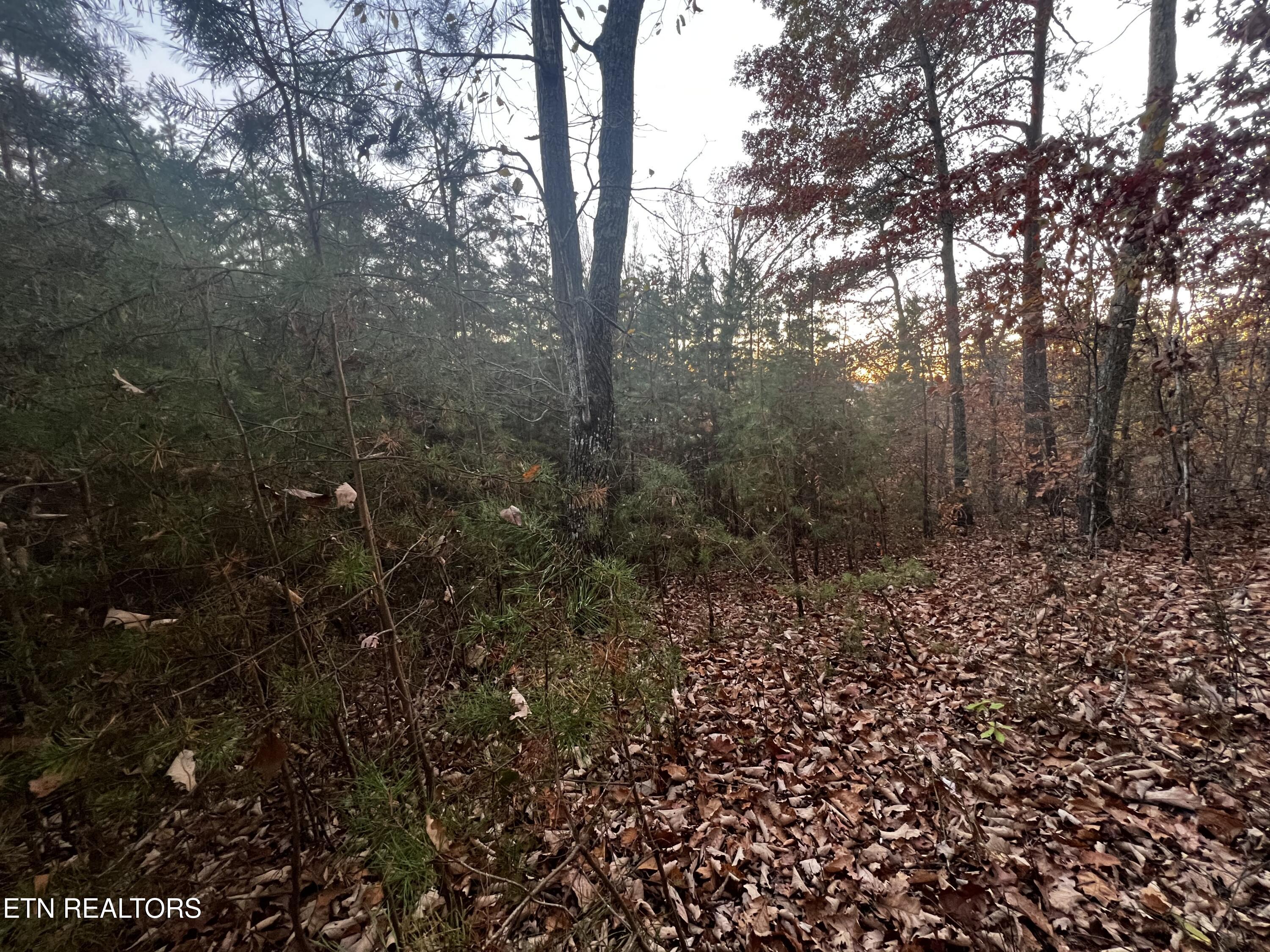 Emerald Point Sharps Chapel TN 37866