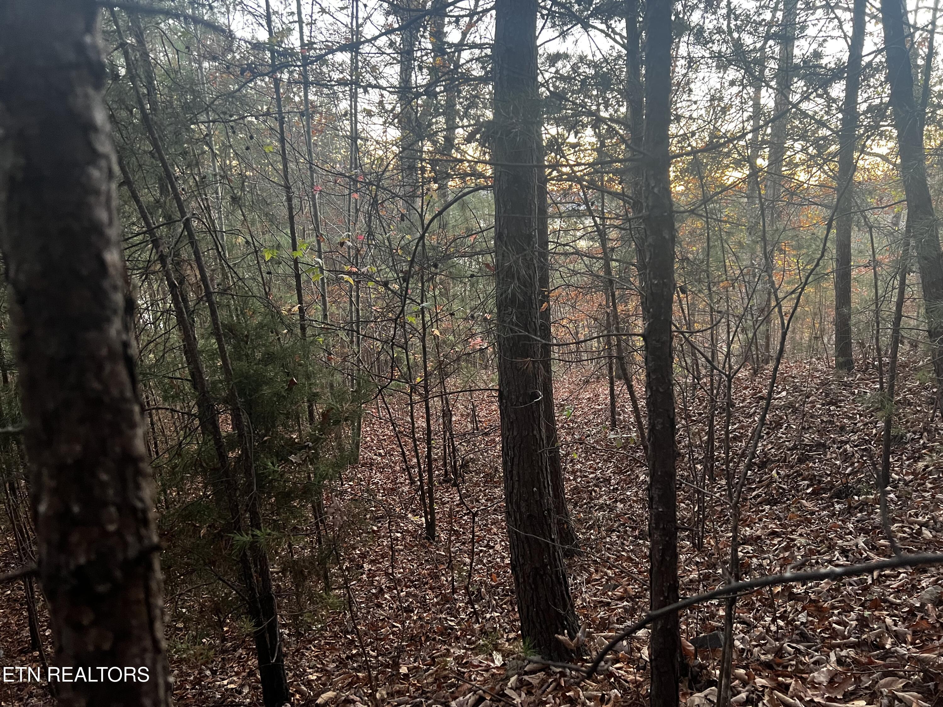 Emerald Point Sharps Chapel TN 37866