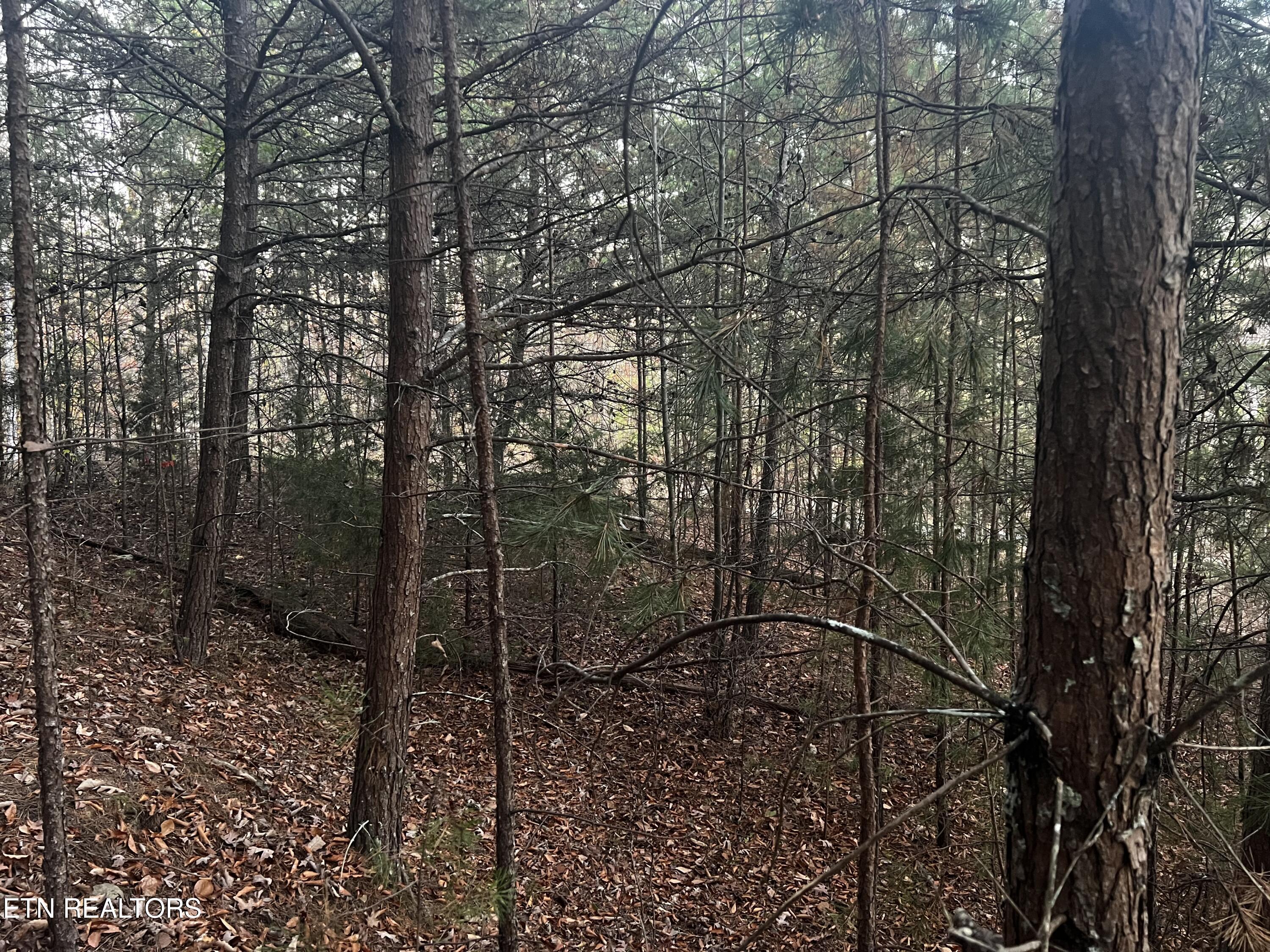 Emerald Point Sharps Chapel TN 37866