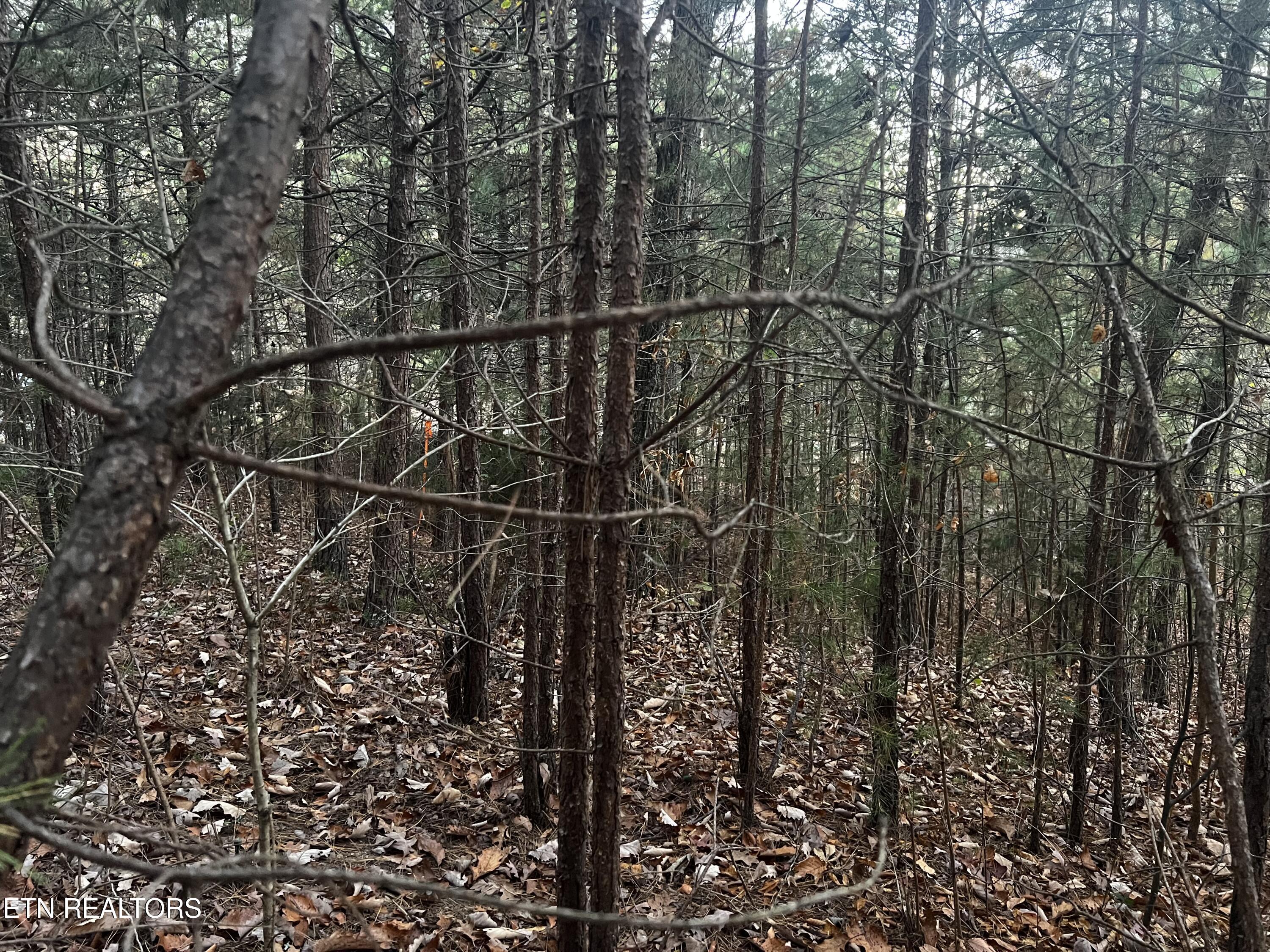 Emerald Point Sharps Chapel TN 37866