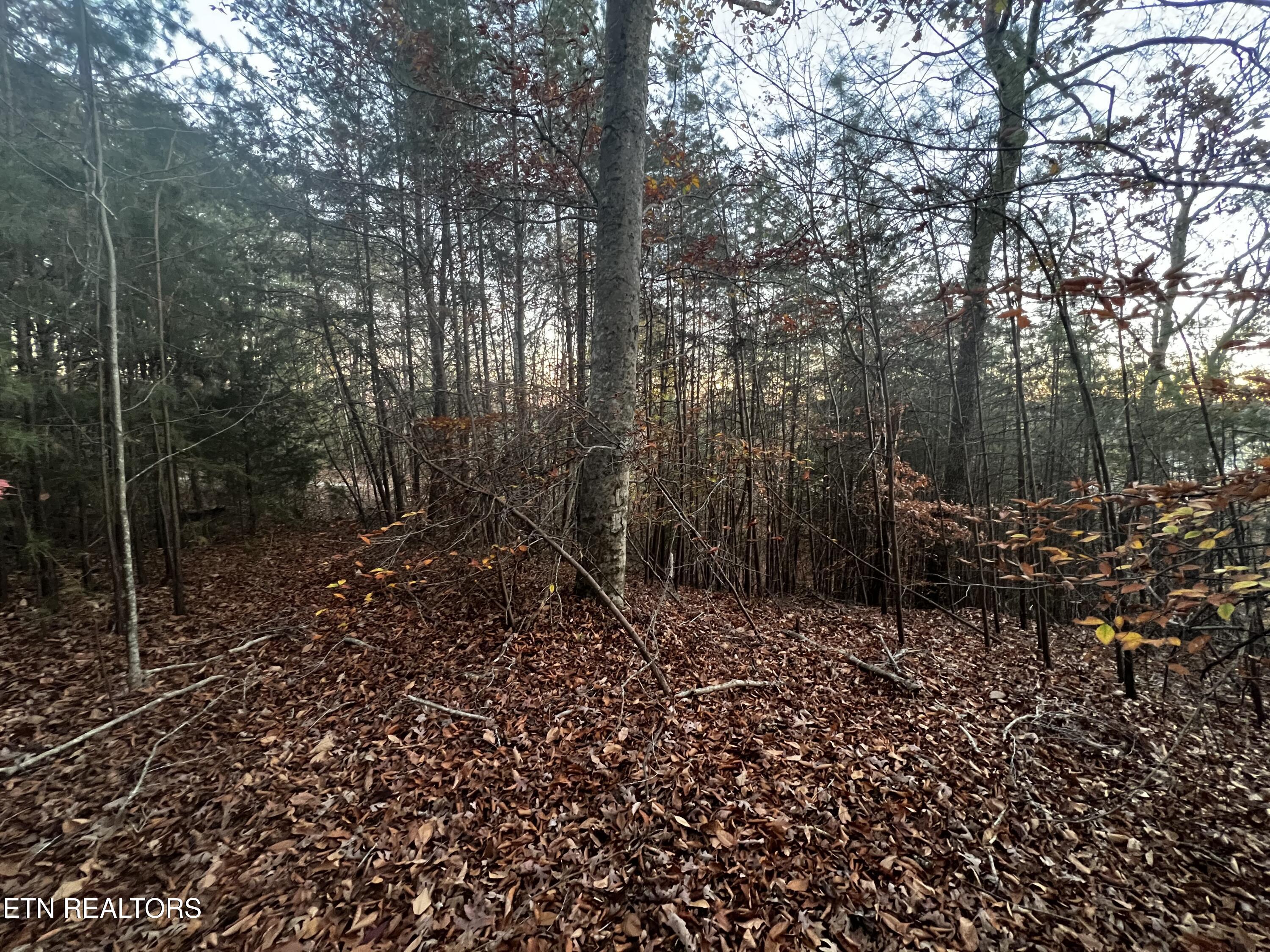 Emerald Point Sharps Chapel TN 37866