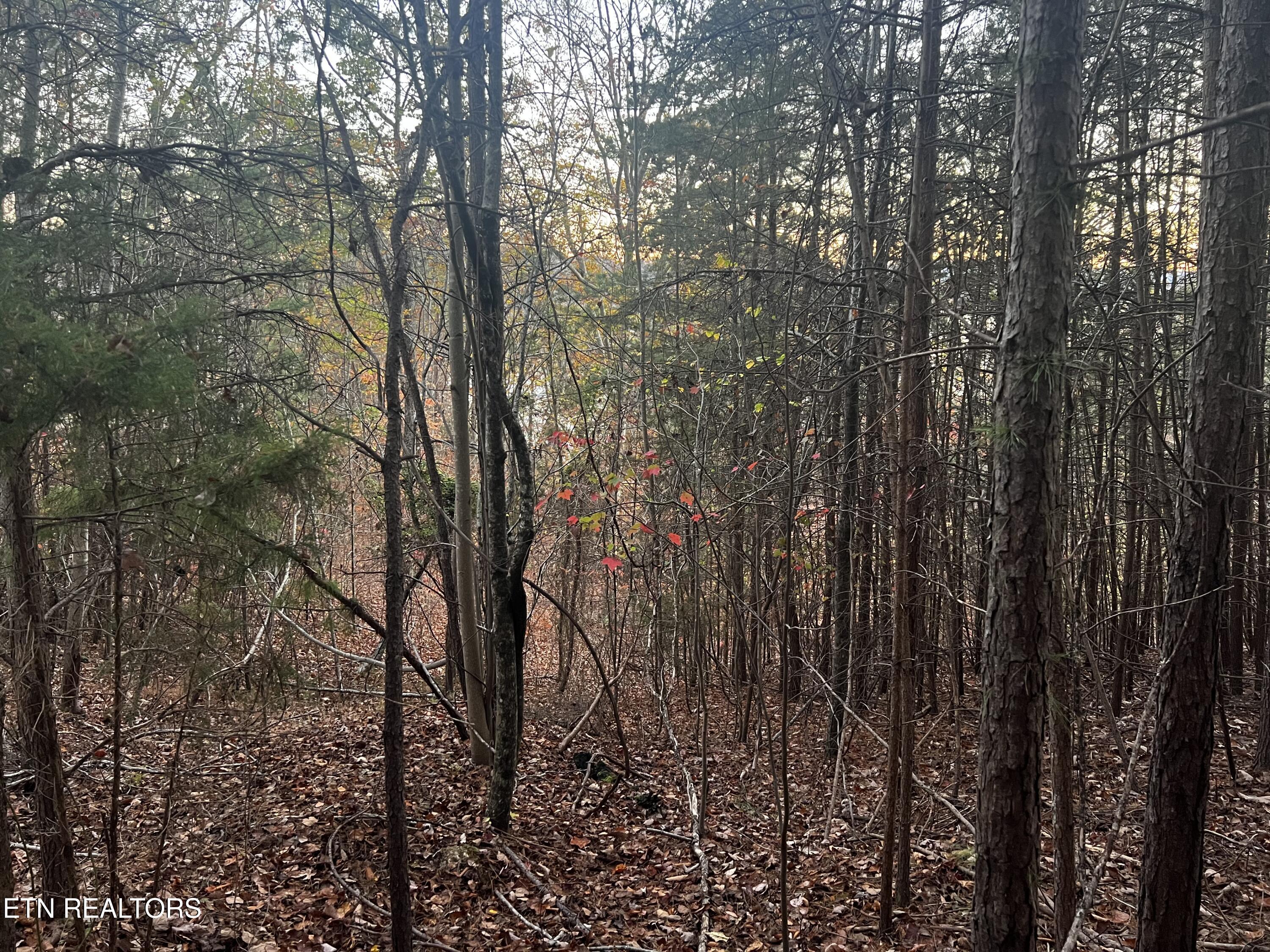 Emerald Point Sharps Chapel TN 37866