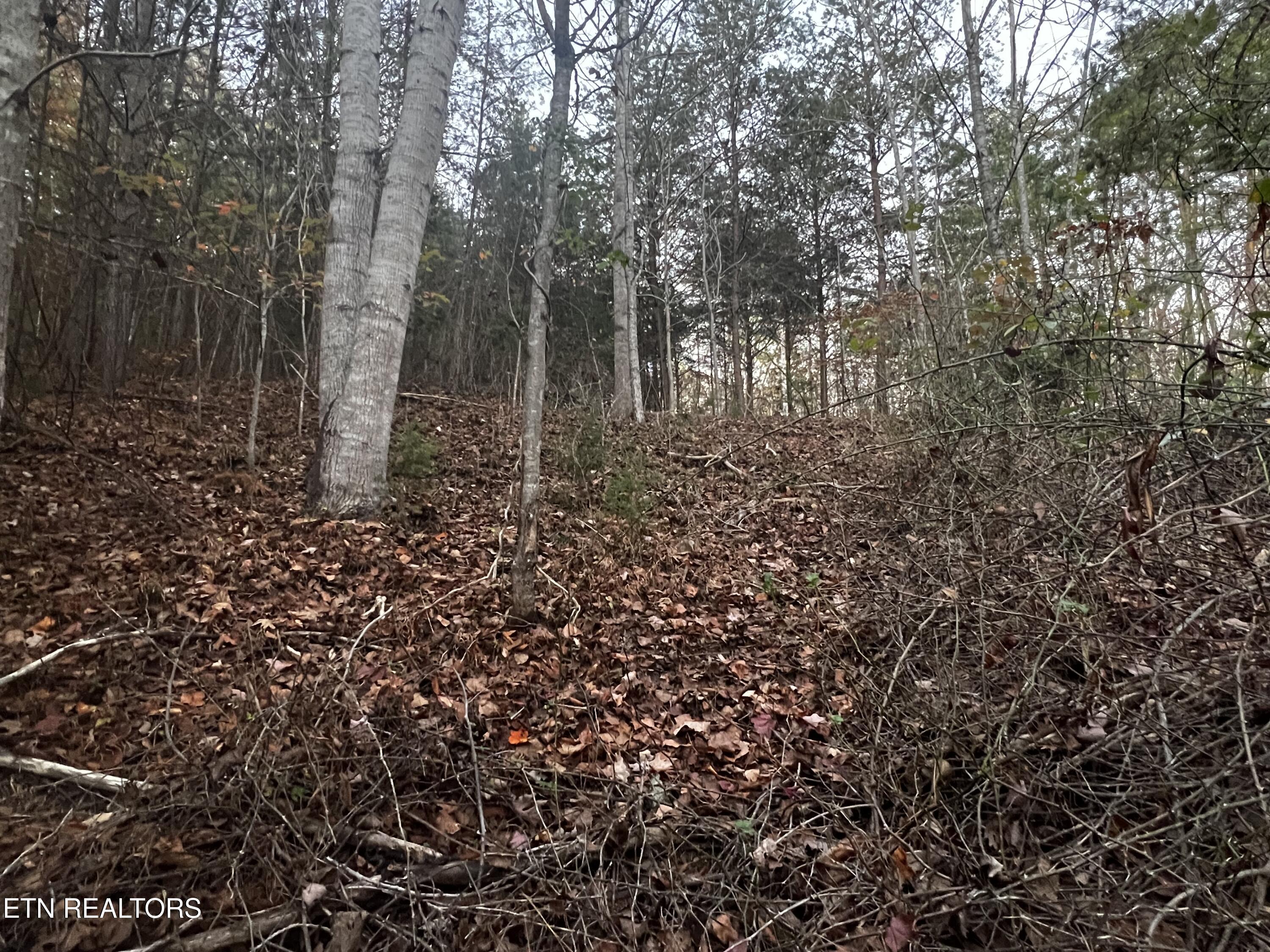 Emerald Point Sharps Chapel TN 37866