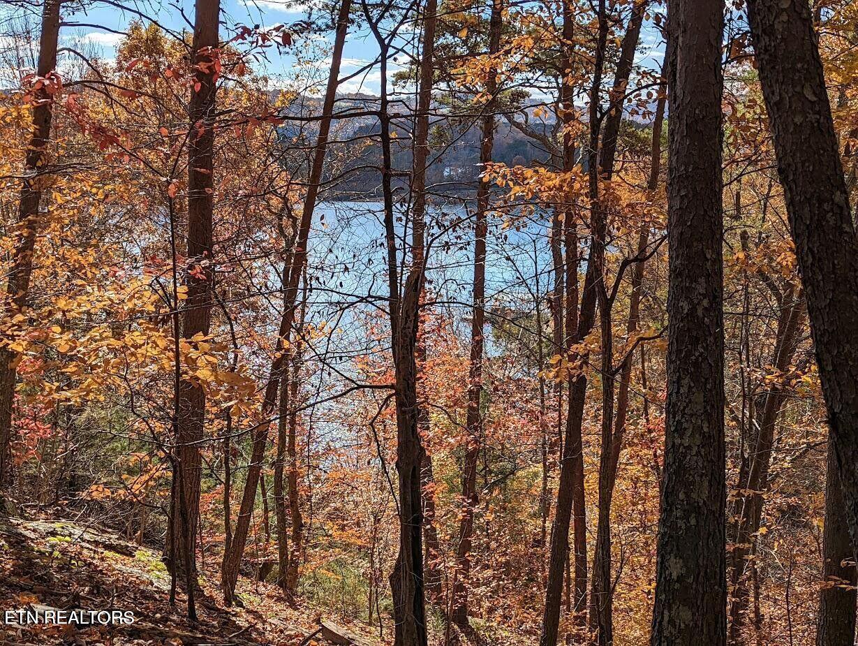 Emerald Point Sharps Chapel TN 37866