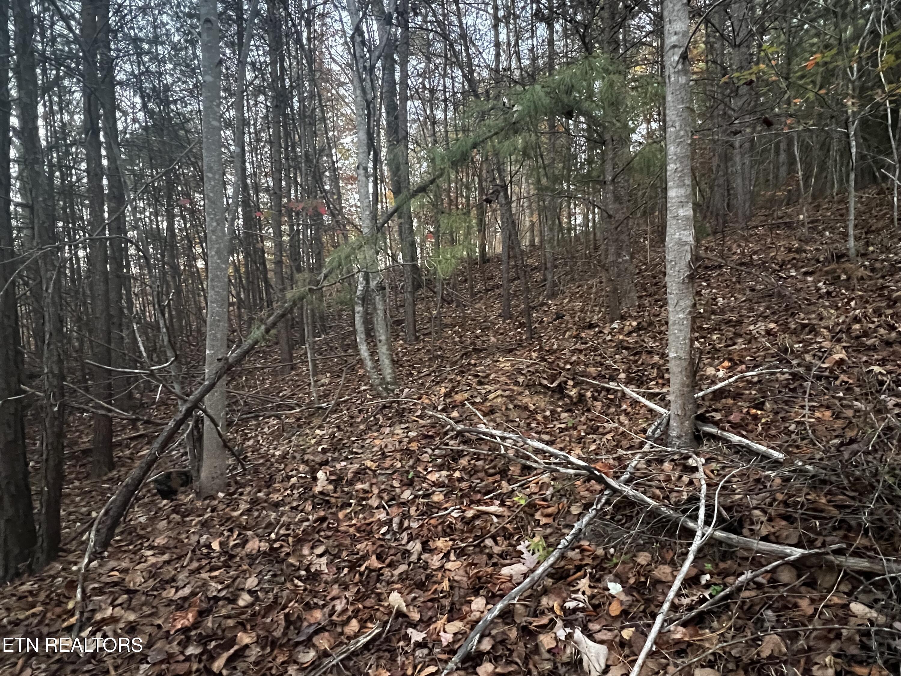 Emerald Point Sharps Chapel TN 37866