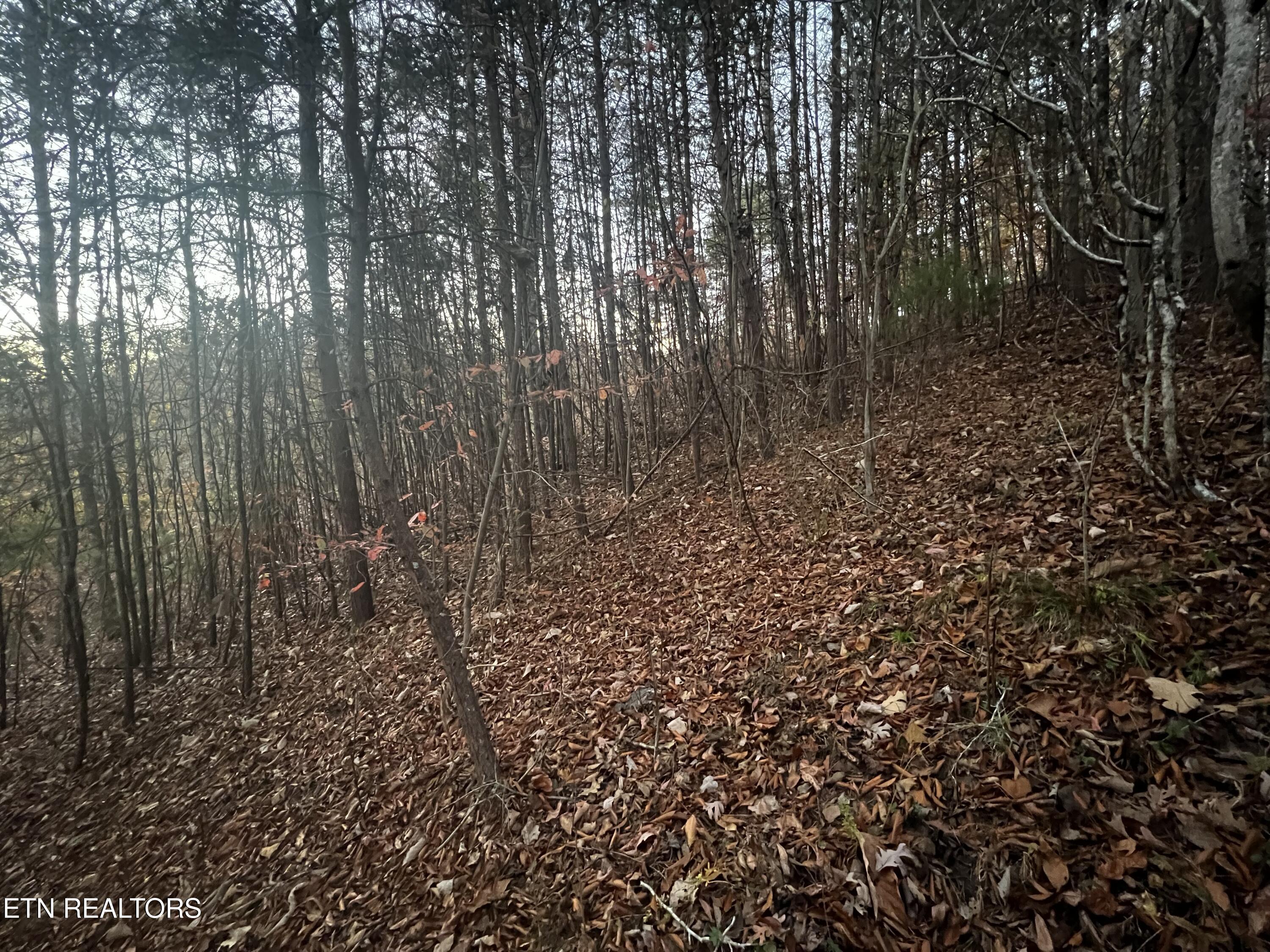 Emerald Point Sharps Chapel TN 37866
