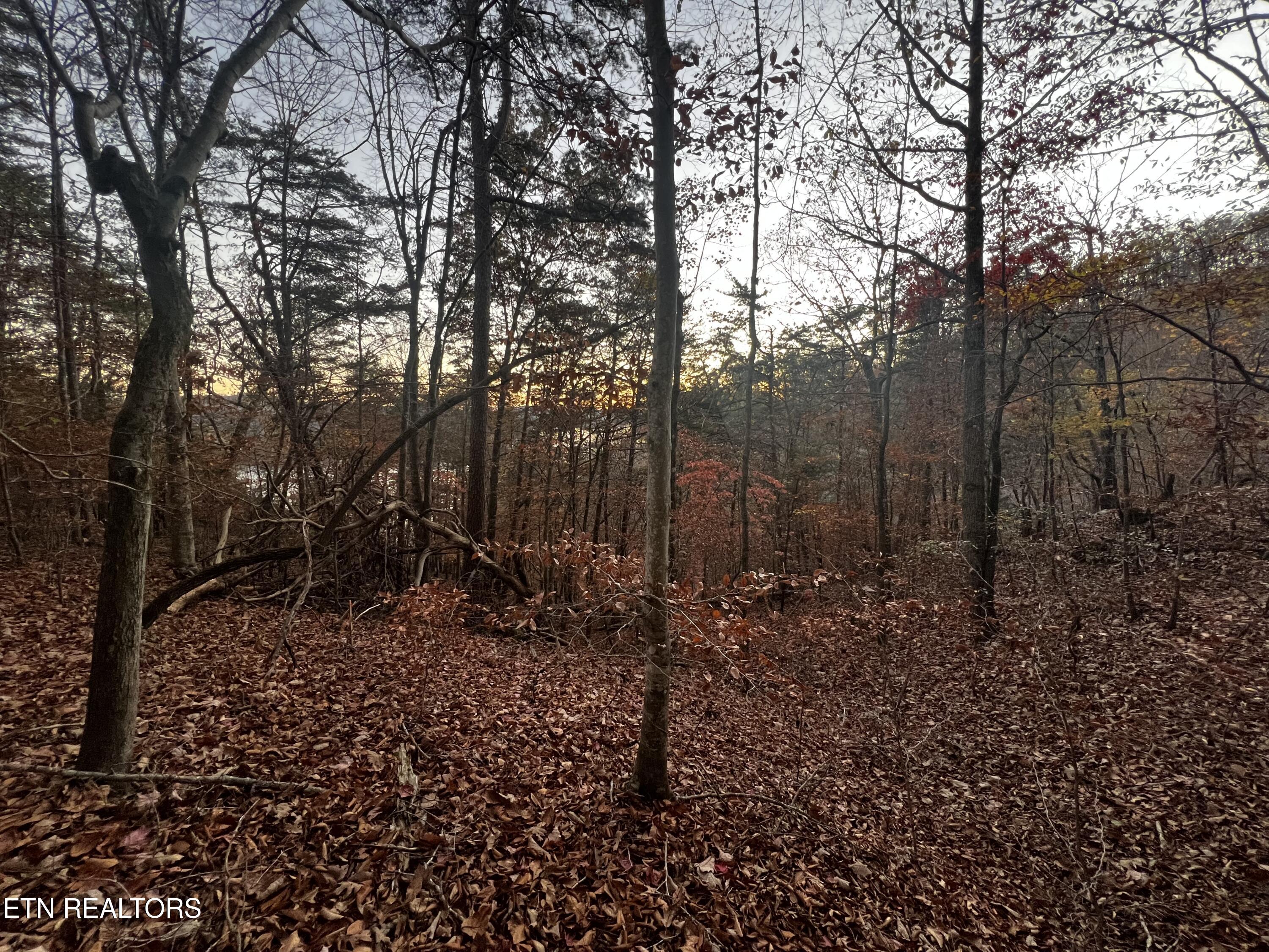 Emerald Point Sharps Chapel TN 37866
