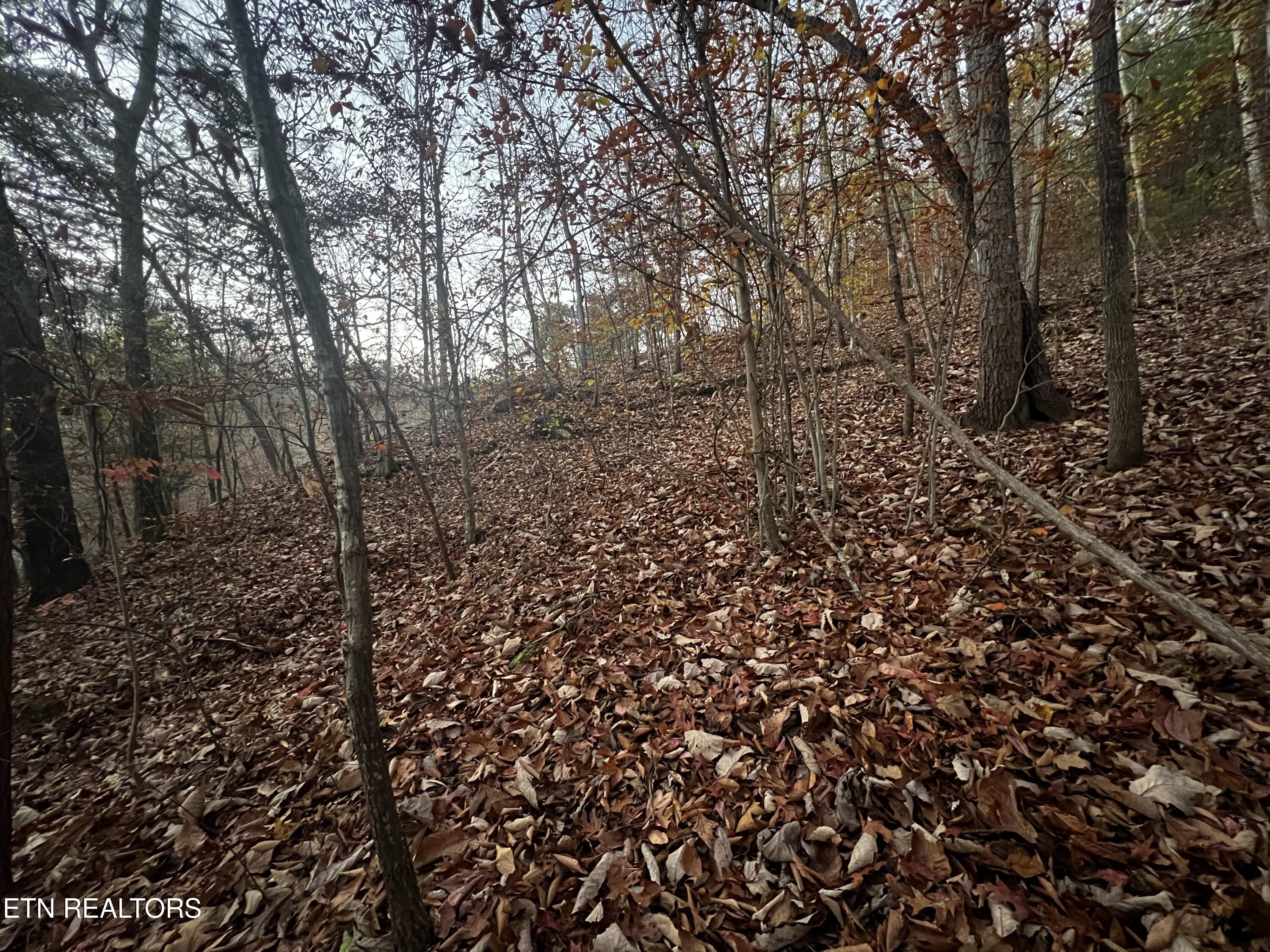 Emerald Point Sharps Chapel TN 37866