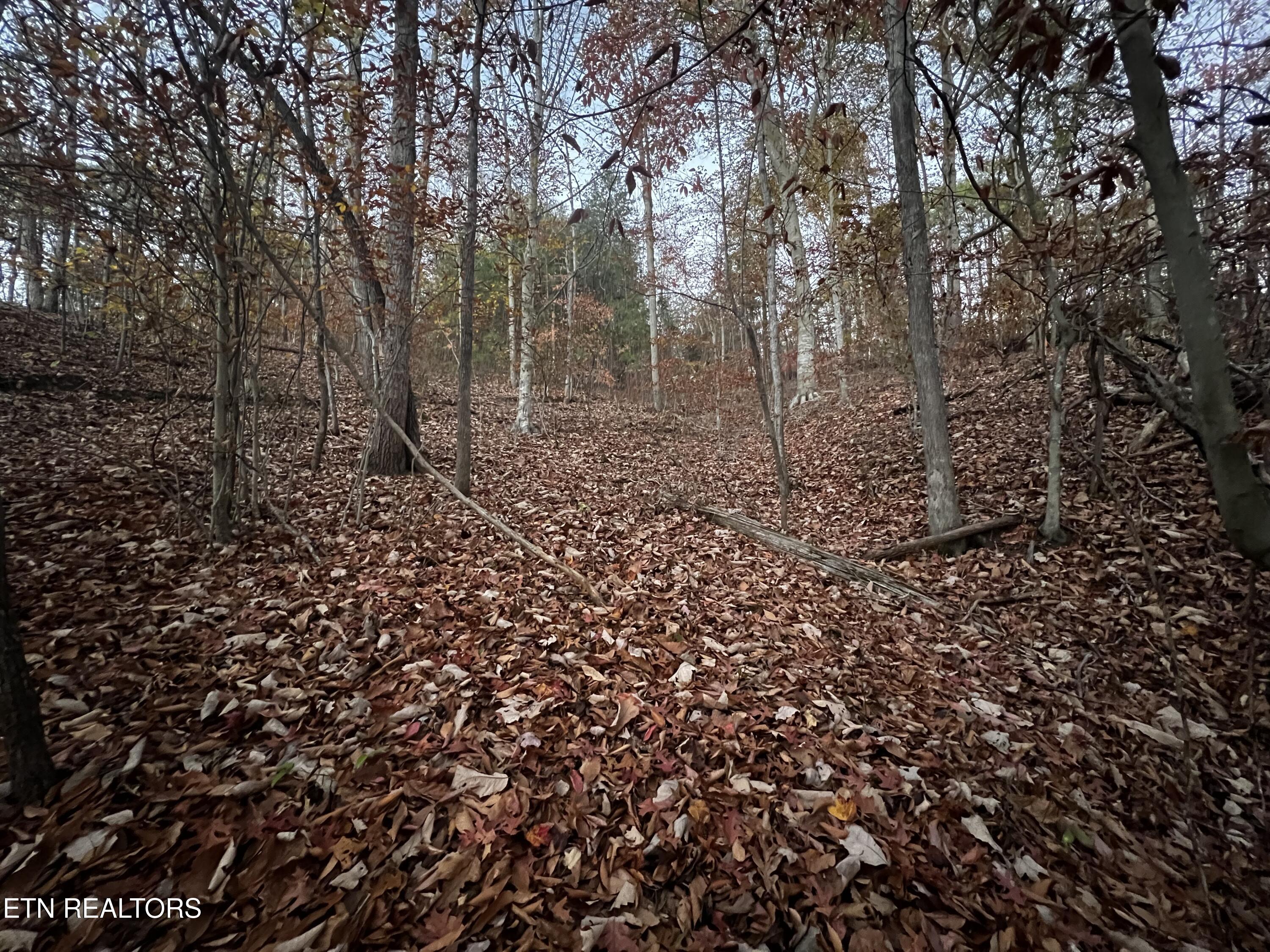 Emerald Point Sharps Chapel TN 37866