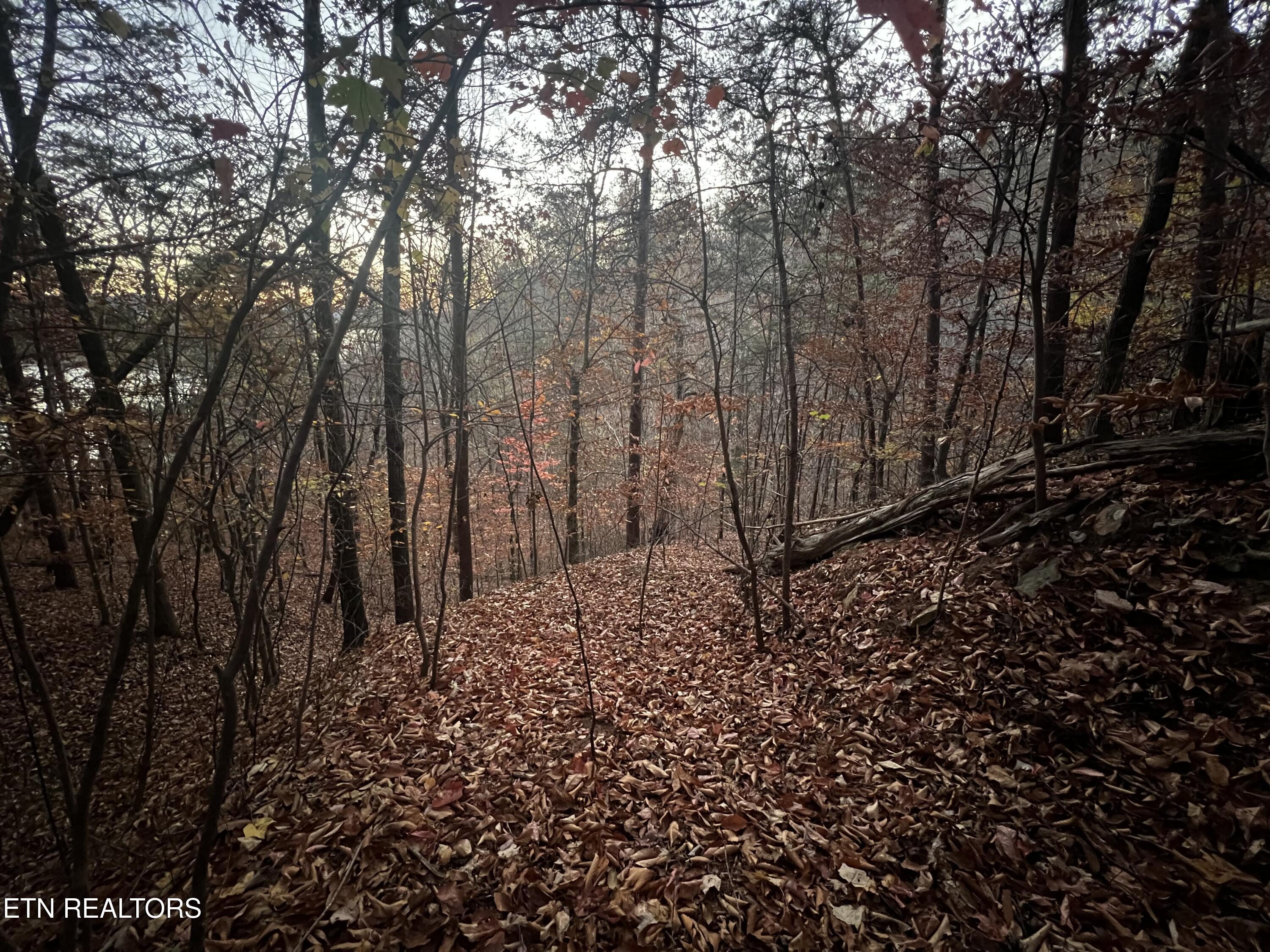 Emerald Point Sharps Chapel TN 37866