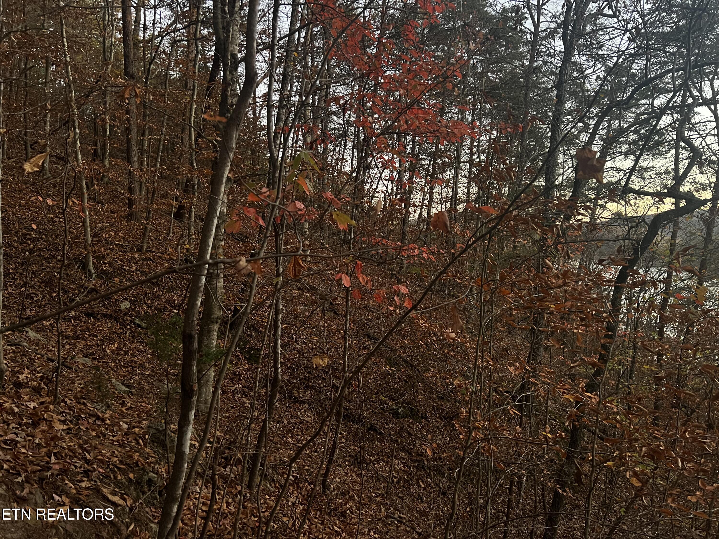 Emerald Point Sharps Chapel TN 37866