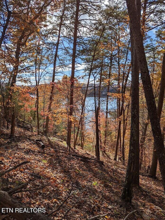 Emerald Point Sharps Chapel TN 37866