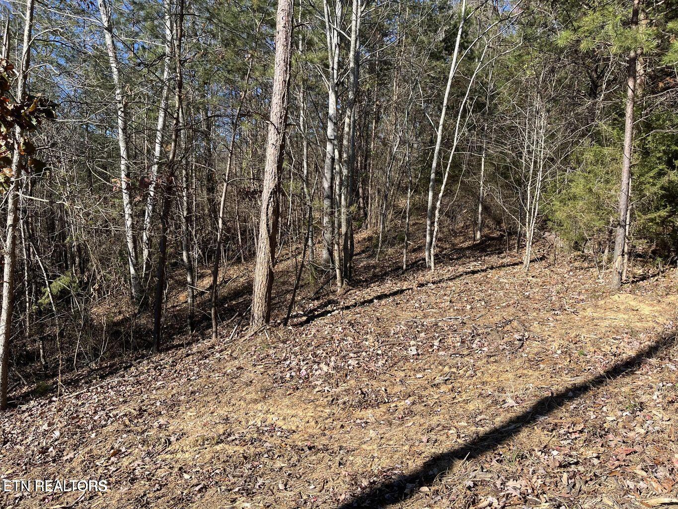 Emerald Point Sharps Chapel TN 37866