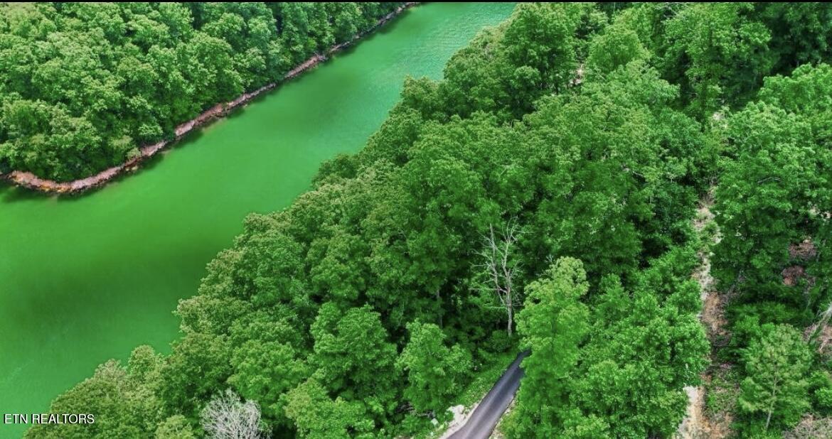Hiawatha Lane Caryville TN 37714
