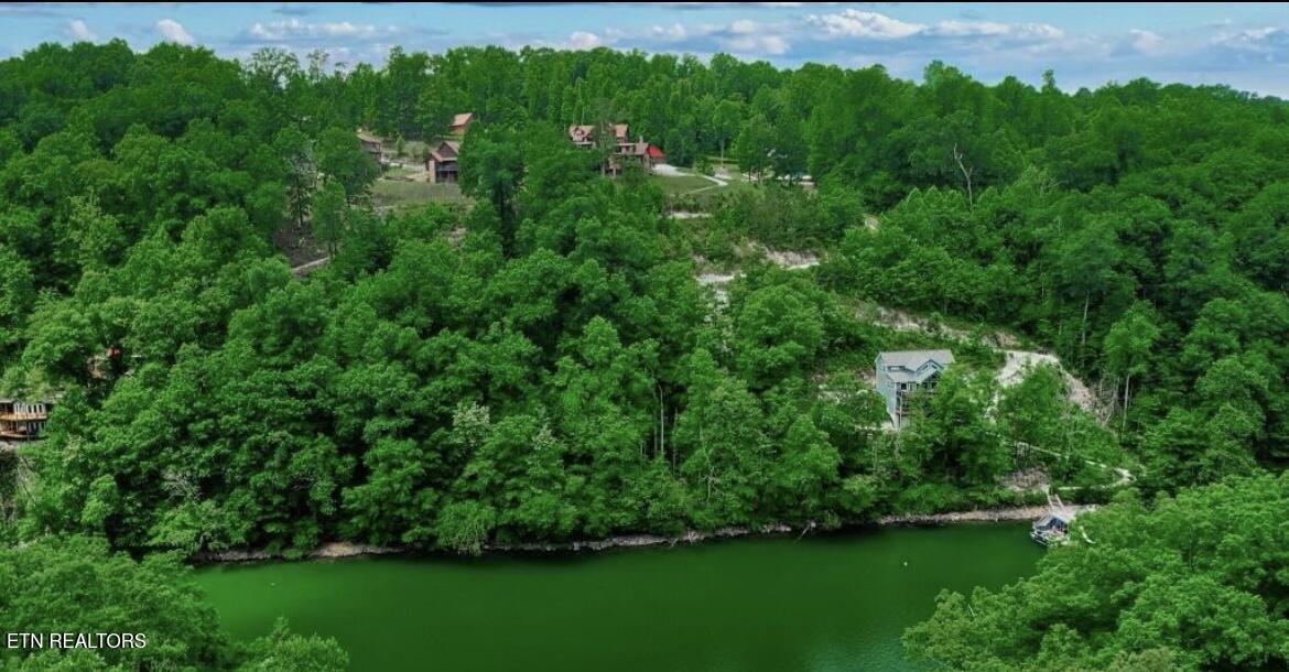Hiawatha Lane Caryville TN 37714