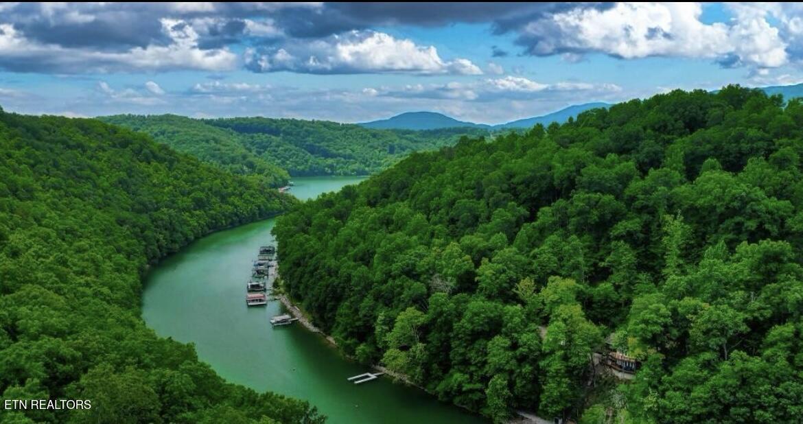 Hiawatha Lane Caryville TN 37714