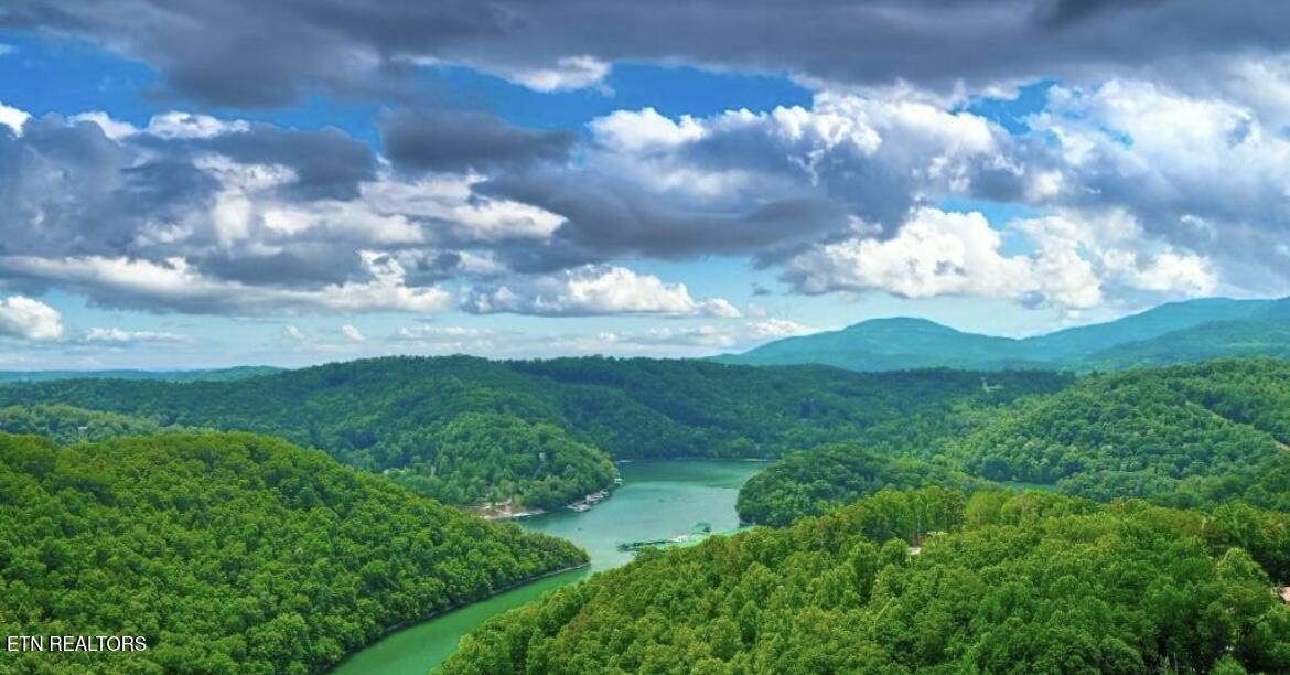 Hiawatha Lane Caryville TN 37714