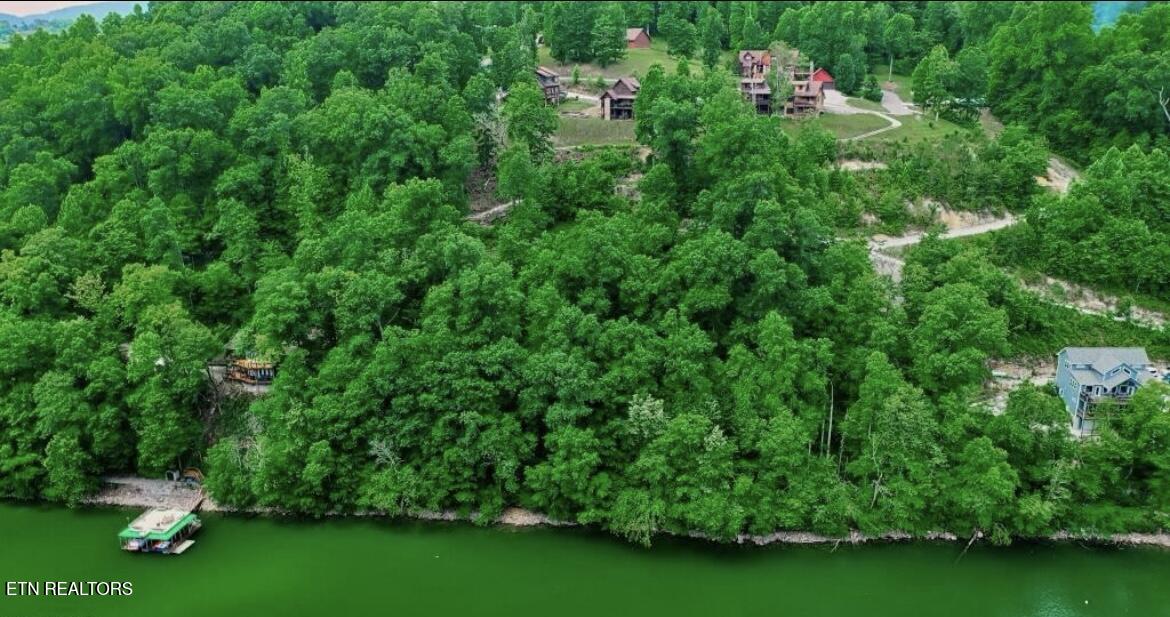 Hiawatha Lane Caryville TN 37714