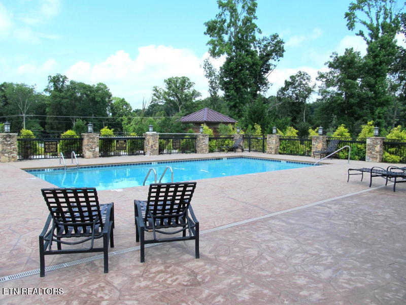 Lot 75 E Shore Drive Rockwood TN 37854