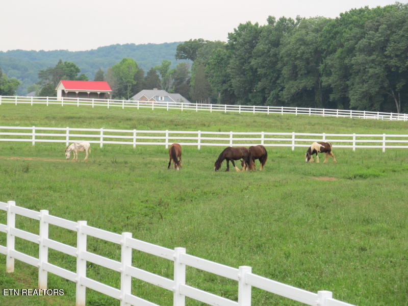 Lot 75 E Shore Drive Rockwood TN 37854