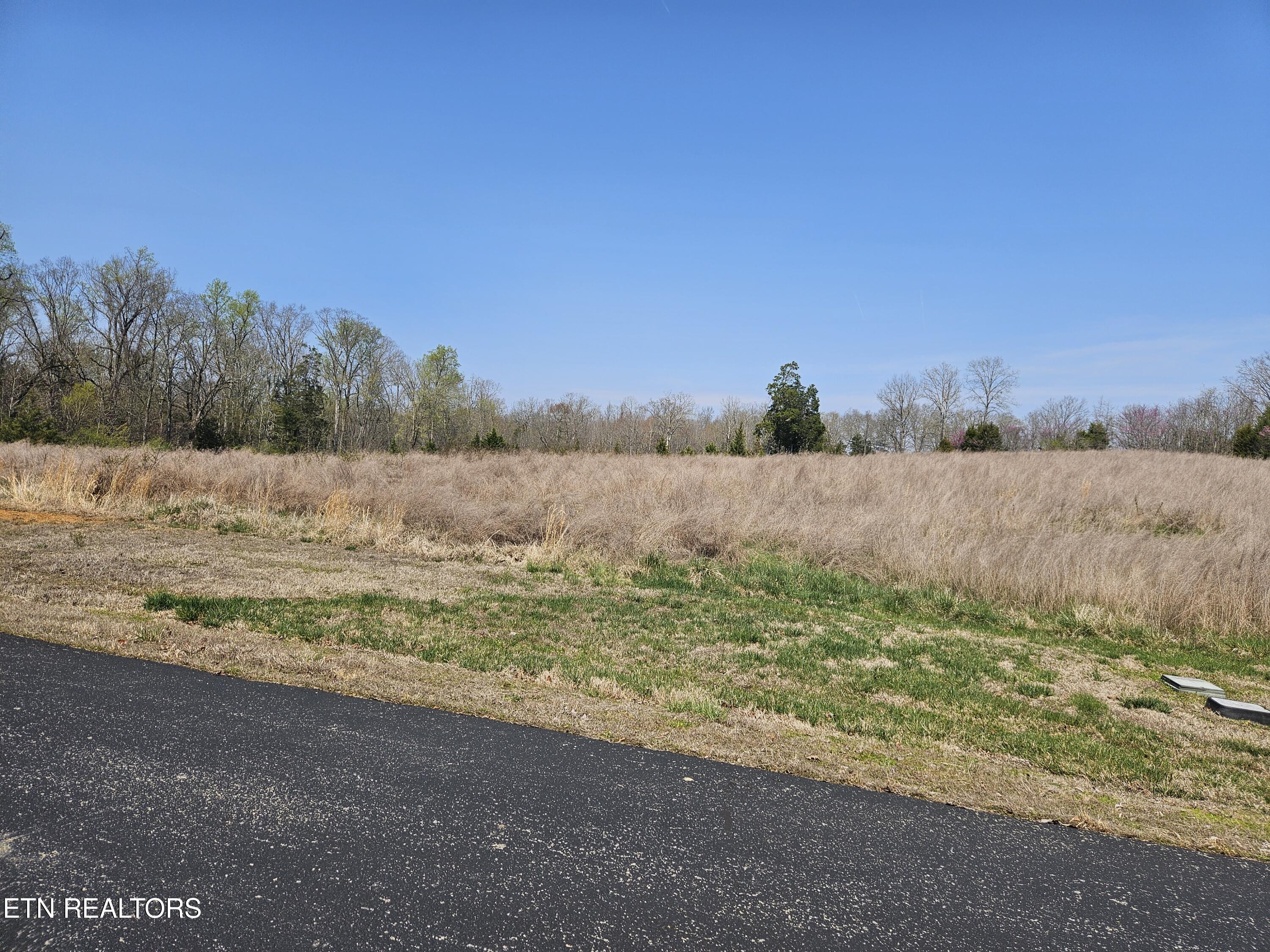 Lot 75 E Shore Drive Rockwood TN 37854