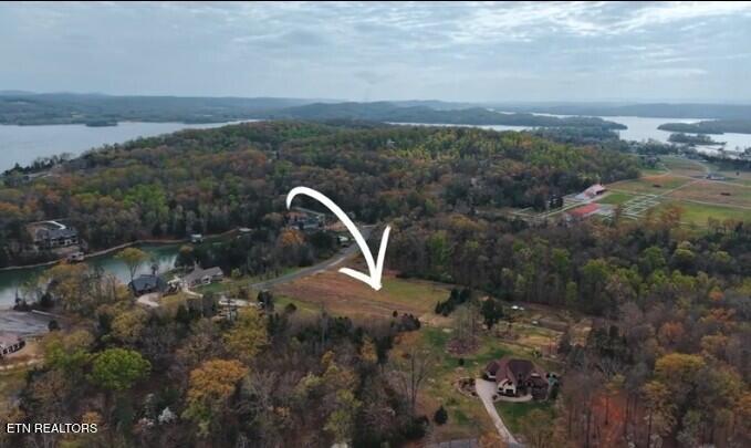 Lot 75 E Shore Drive Rockwood TN 37854